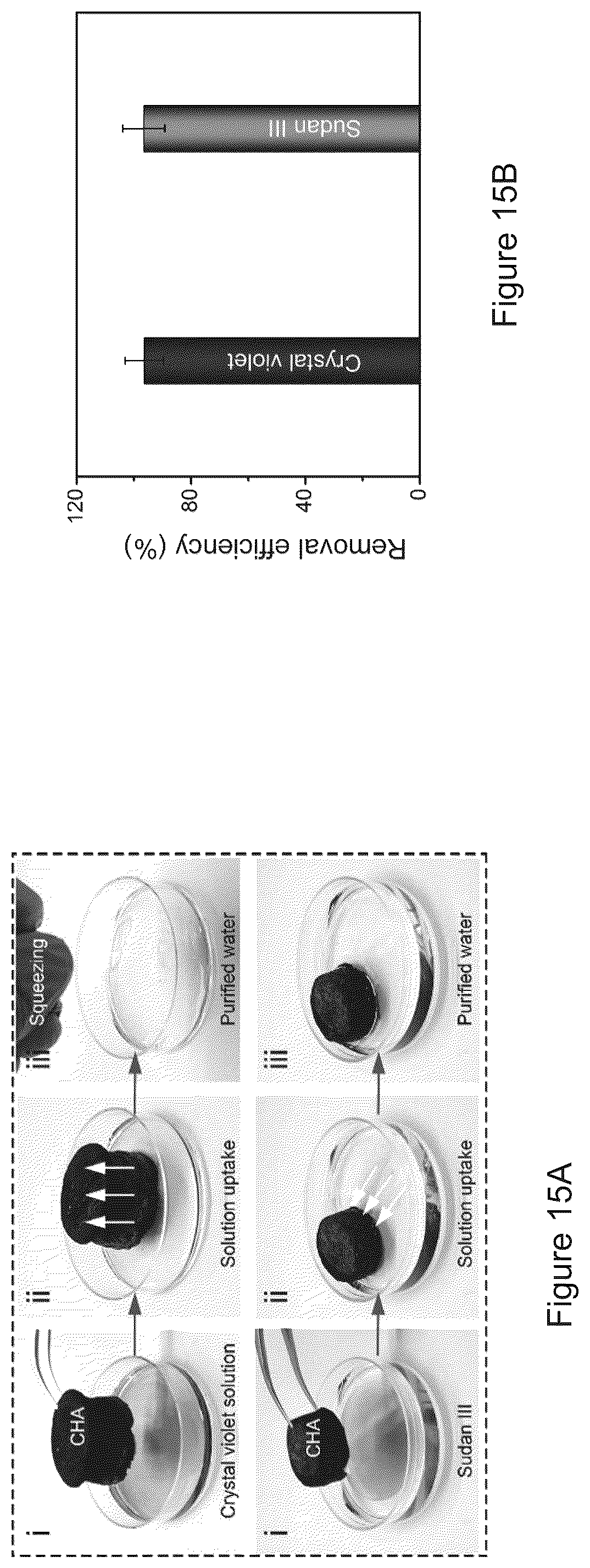 Patent US12157683 Figure 16 – Composite material and a water purifying system