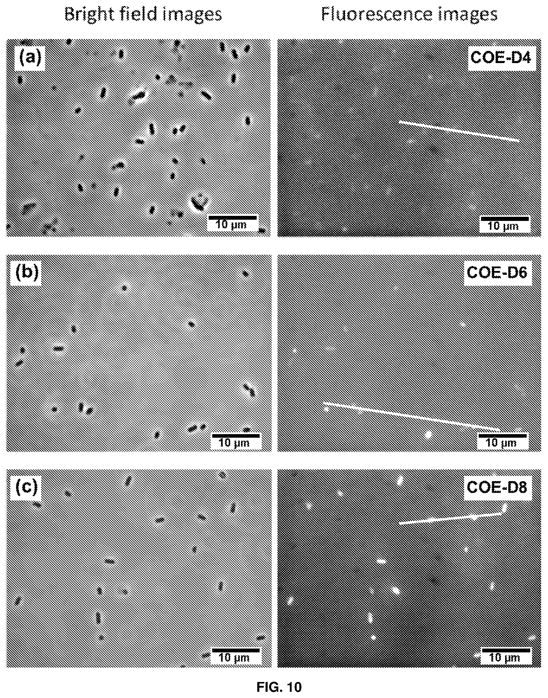 Patent US12157713 Figure 7 – Conjugated oligoelectrolytes as antimicrobial agents