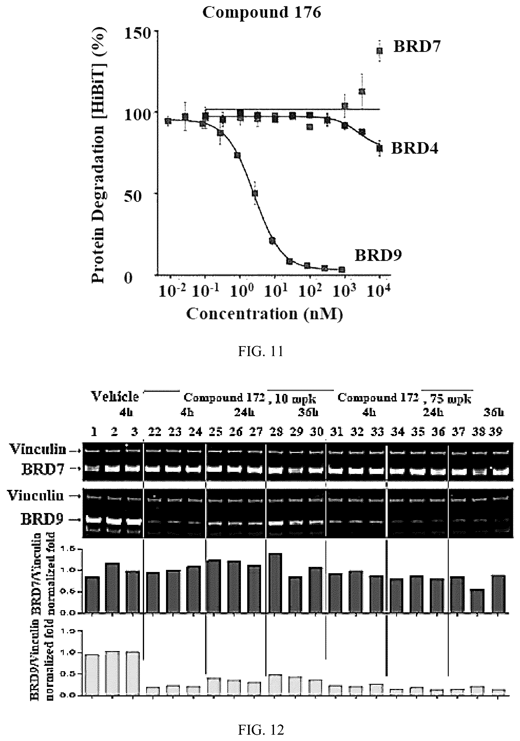 Patent US12157735 Figure 8 – Compounds for targeted degradation of BRD9