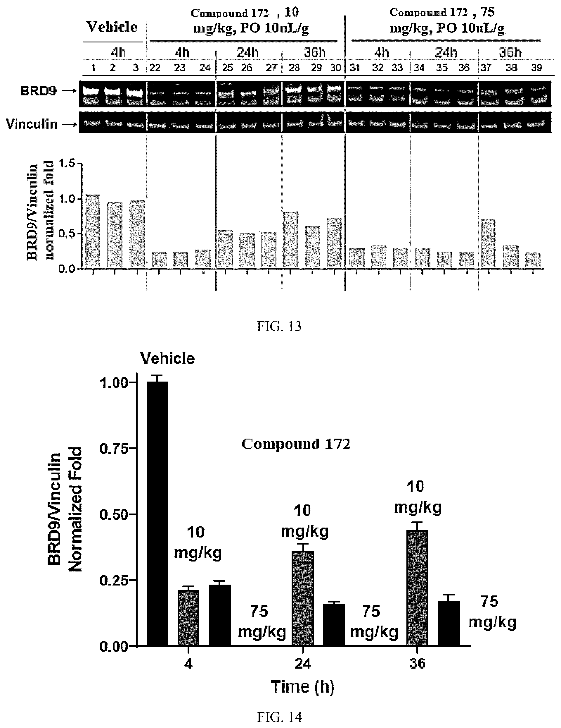 Patent US12157735 Figure 9 – Compounds for targeted degradation of BRD9