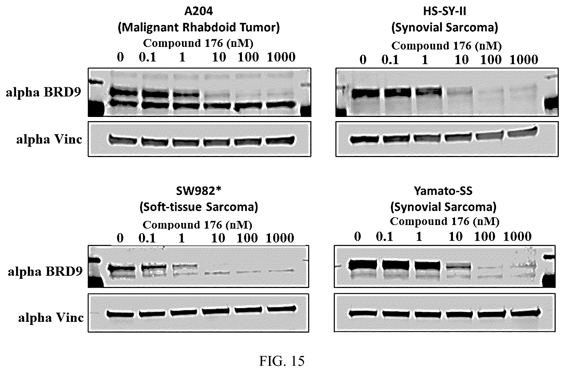 Patent US12157735 Figure 10 – Compounds for targeted degradation of BRD9