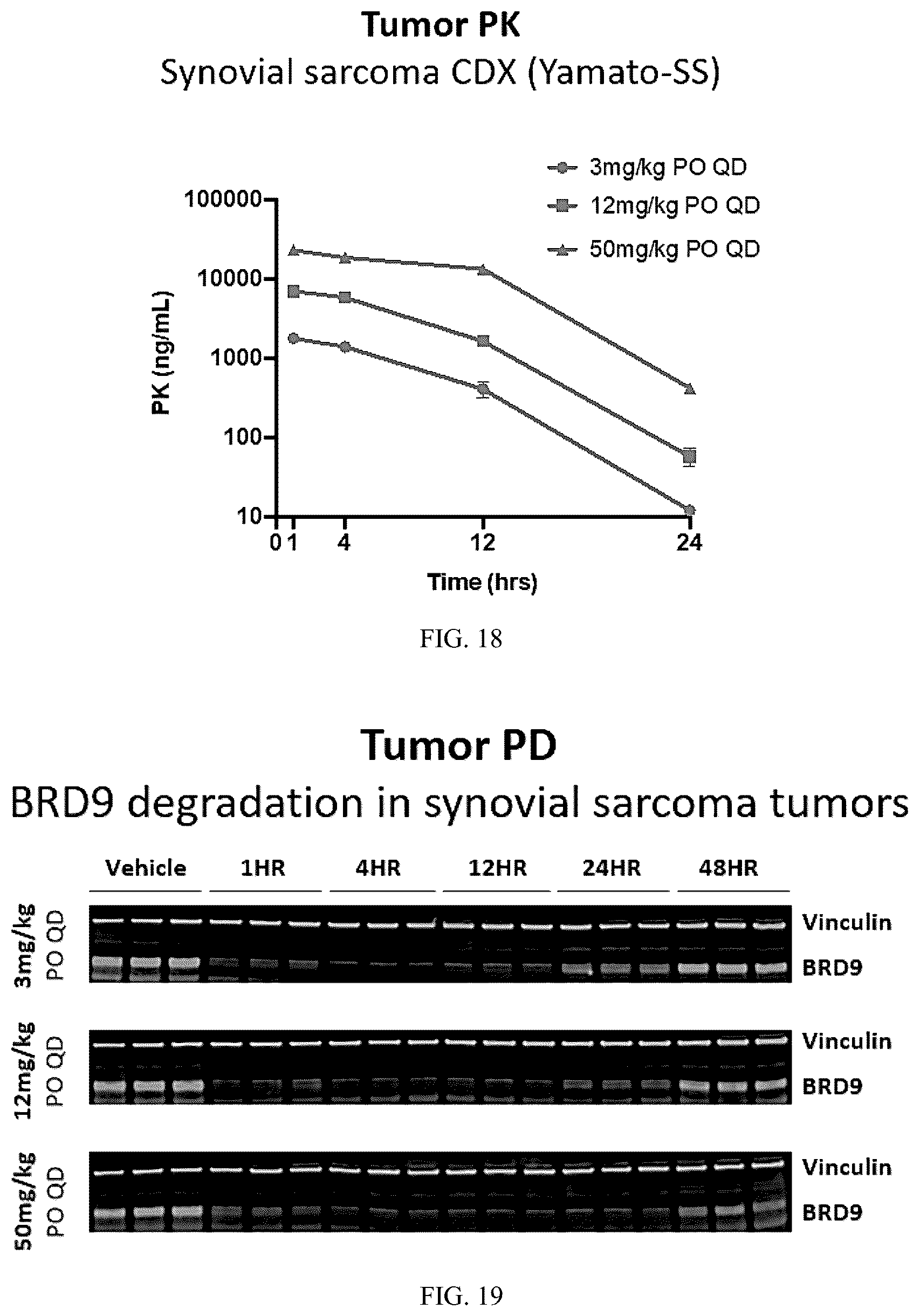 Patent US12157735 Figure 13 – Compounds for targeted degradation of BRD9