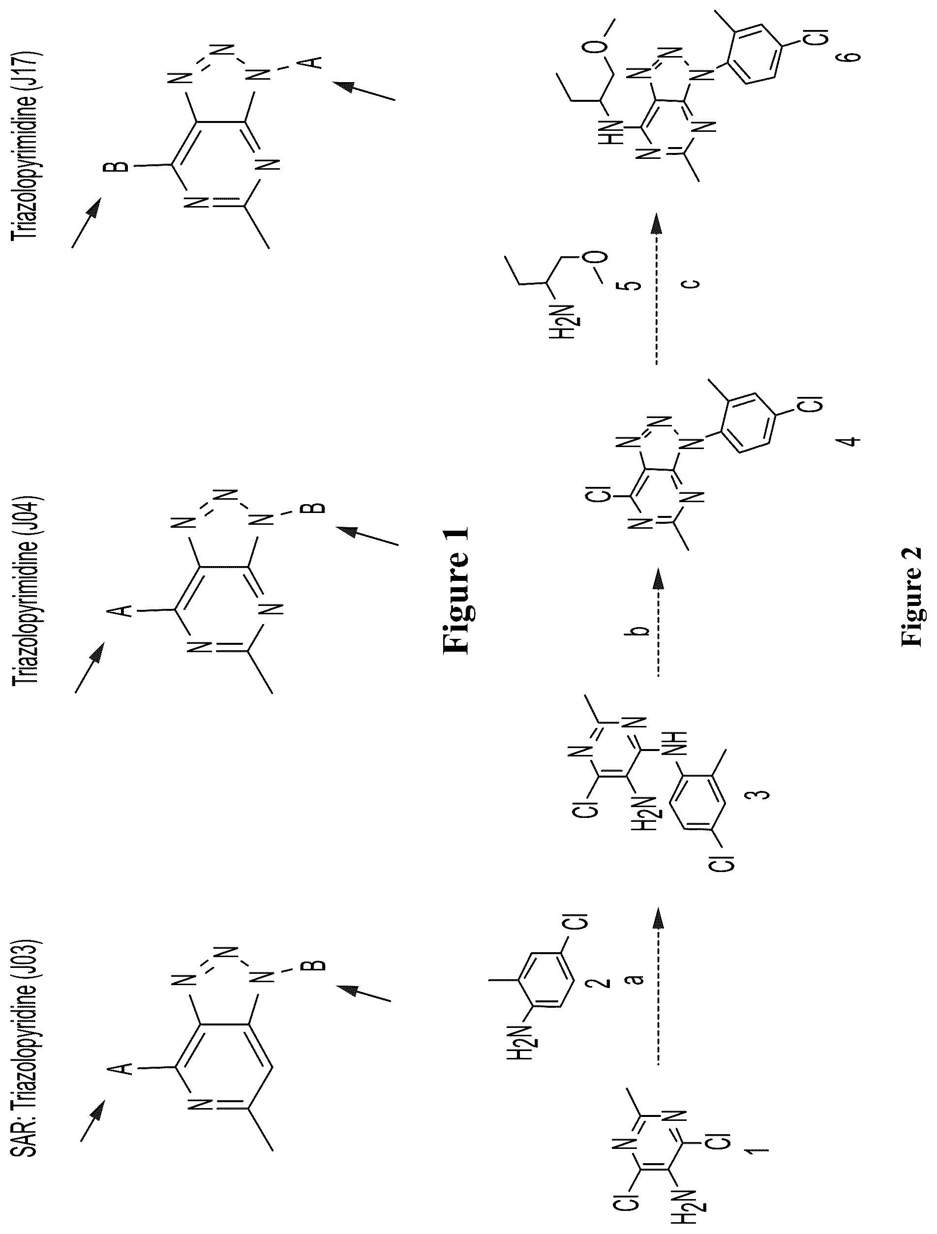 Patent US12157740 Figure 1 – Triazolopyridines and triazolopyrimidines that lower stress-induced p-tau