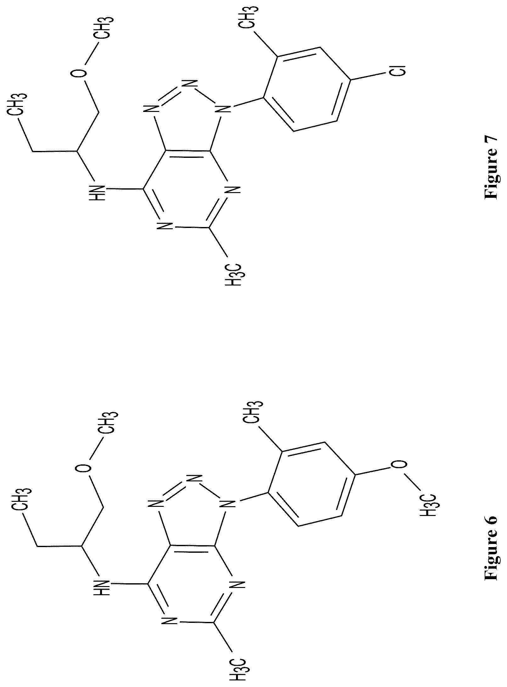 Patent US12157740 Figure 3 – Triazolopyridines and triazolopyrimidines that lower stress-induced p-tau