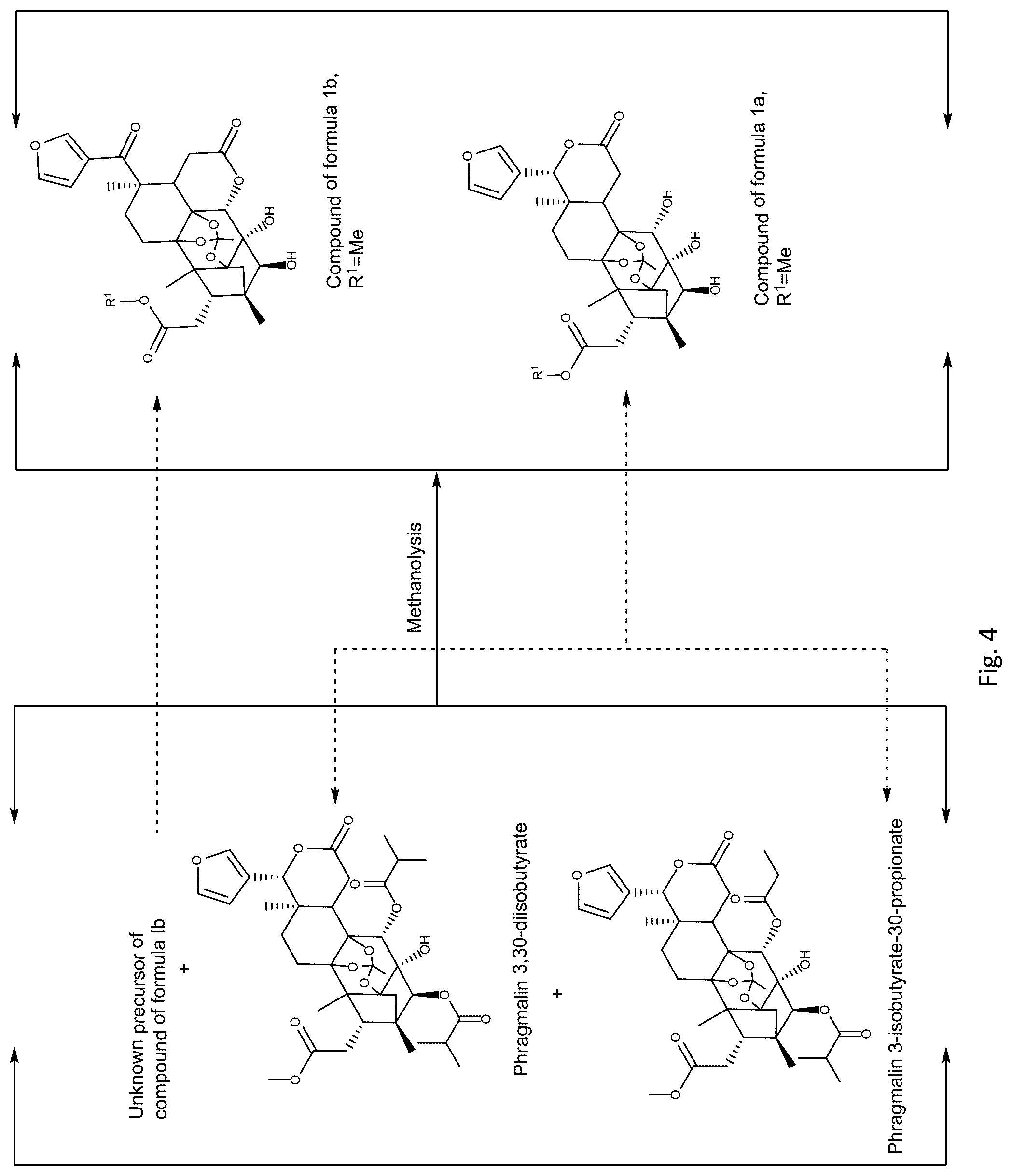 Patent US12157744 Figure 4 – Compounds and methods of their manufacturing