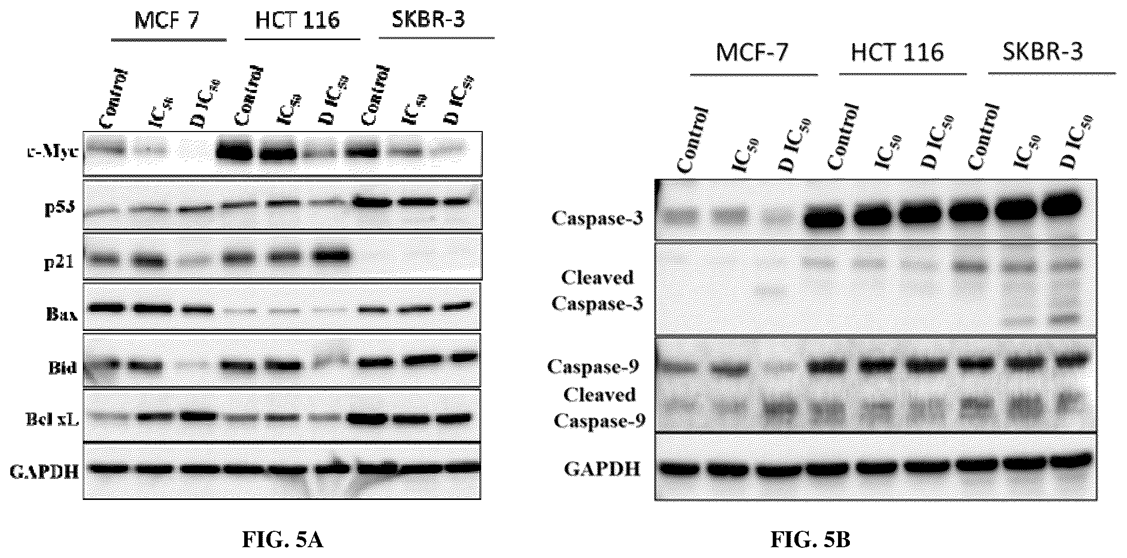 Patent US12157745 Figure 3 – Heterocyclic systems and pharmaceutical compositions thereof