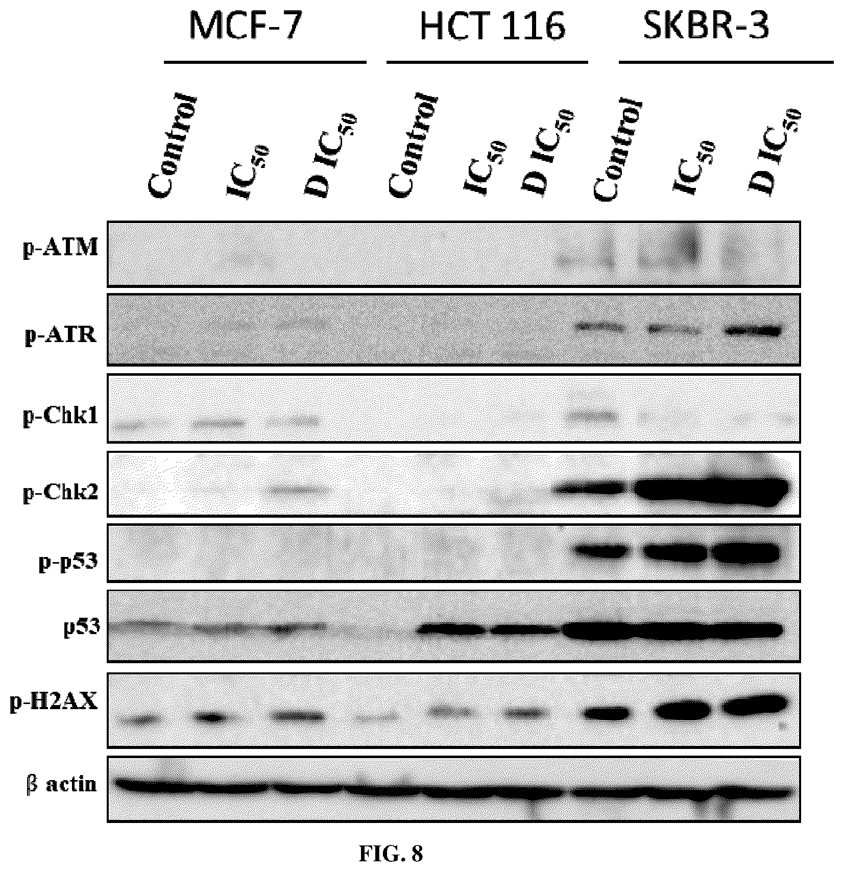 Patent US12157745 Figure 7 – Heterocyclic systems and pharmaceutical compositions thereof
