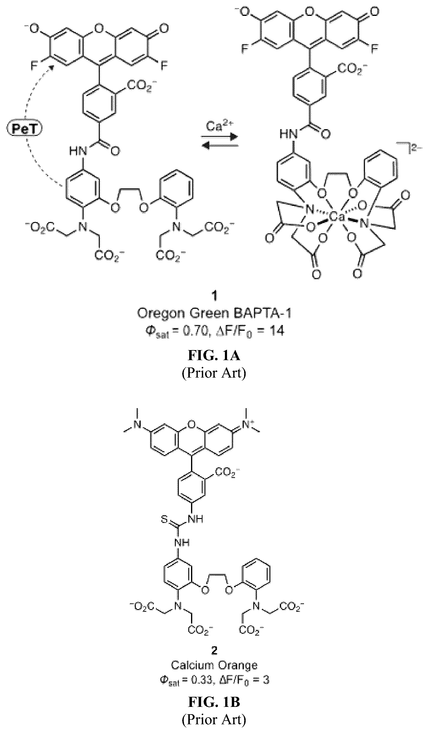 Patent US12157750 Figure 1 – Bright targetable red CA 2+ indicators