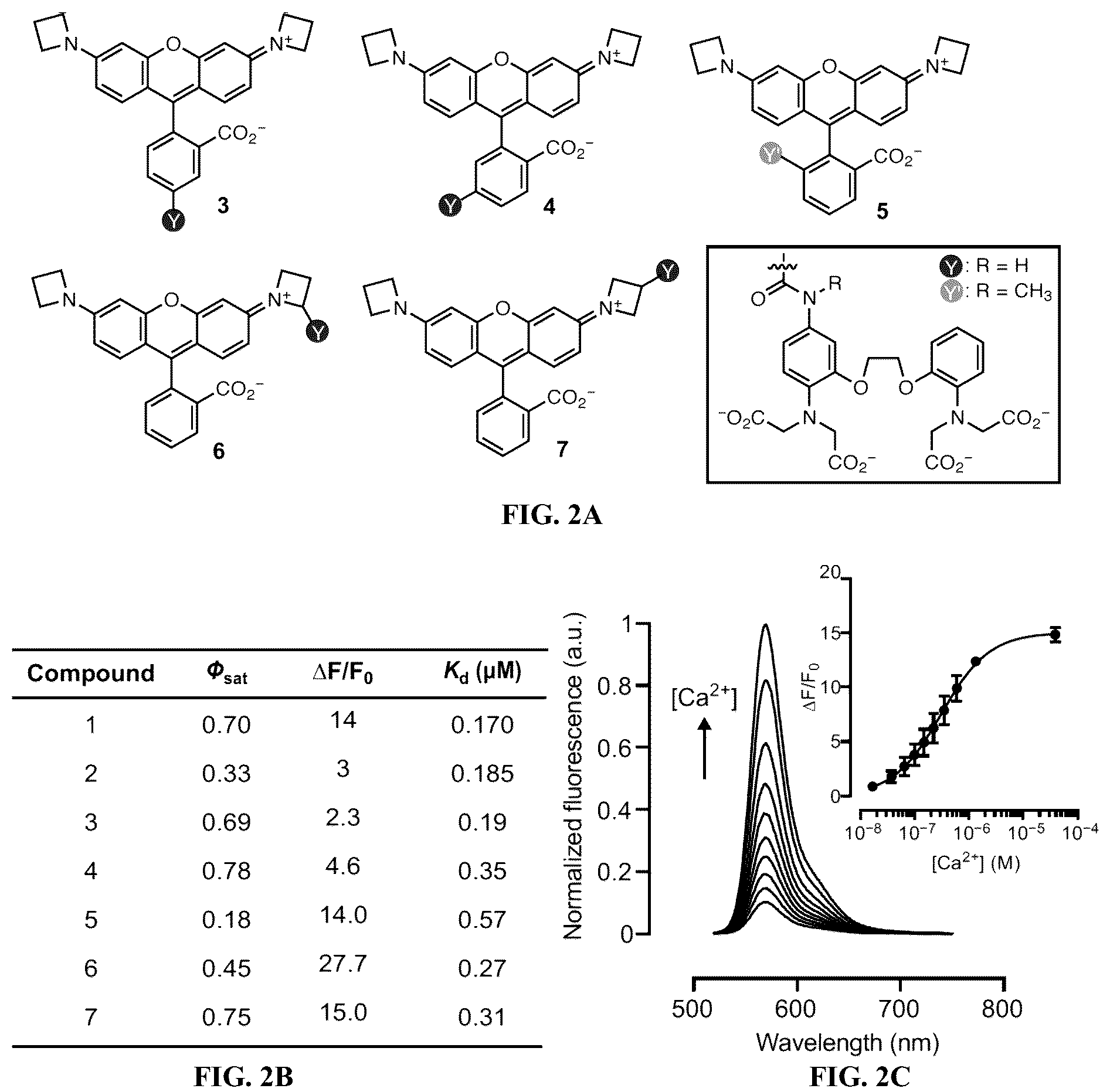 Patent US12157750 Figure 2 – Bright targetable red CA 2+ indicators