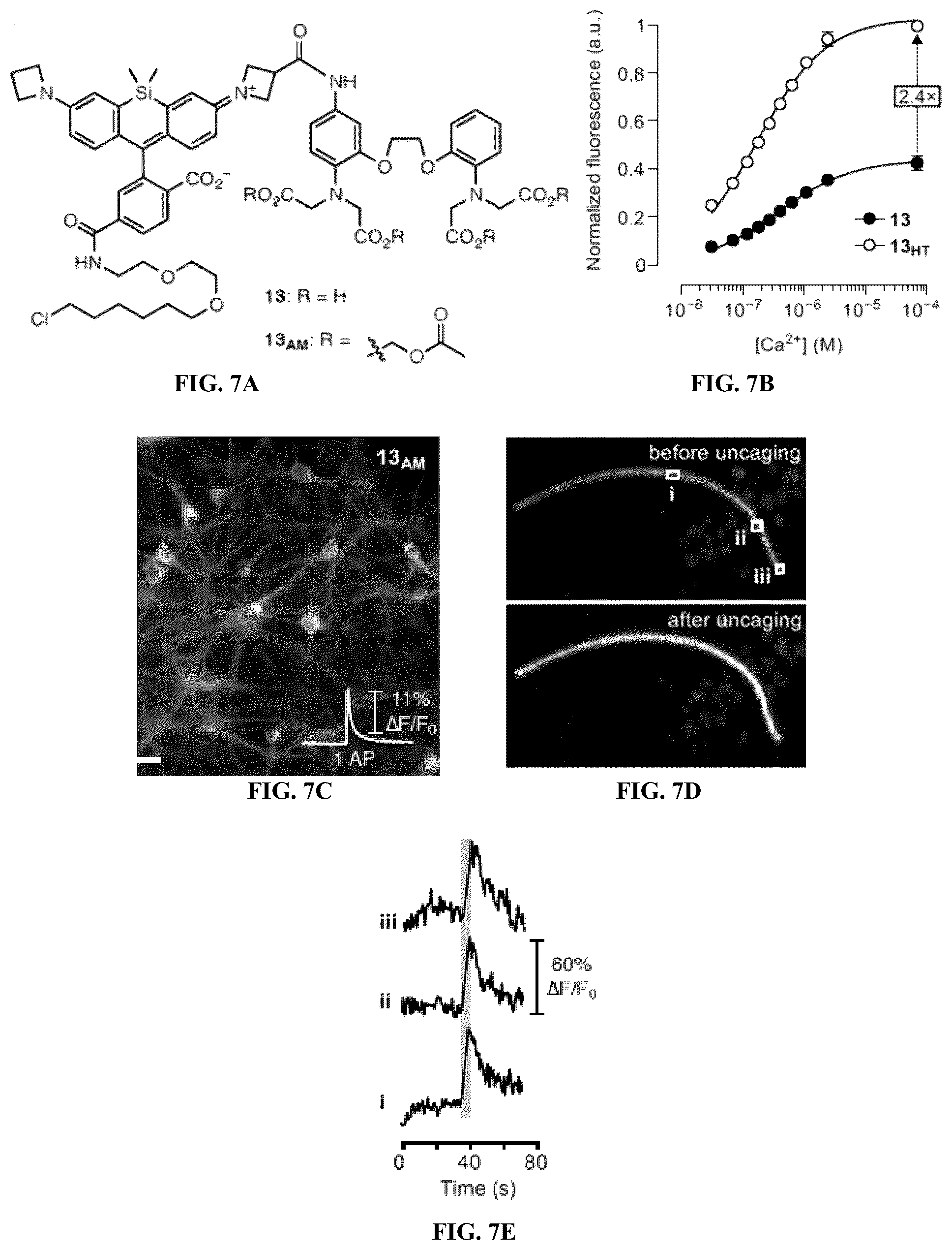 Patent US12157750 Figure 9 – Bright targetable red CA 2+ indicators