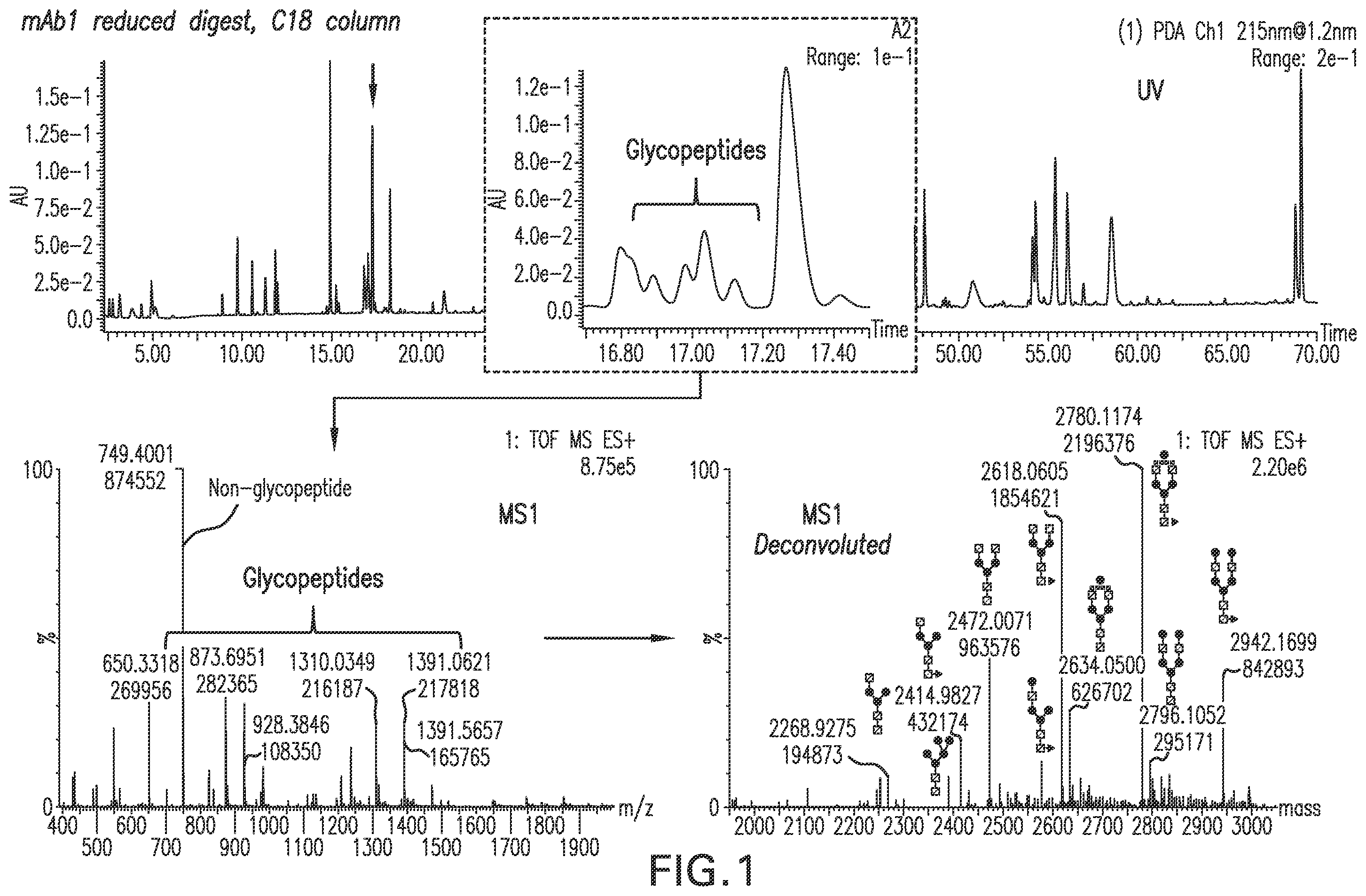 Patent US12157756 Figure 1 – Detection and quantification of glycosylated peptides