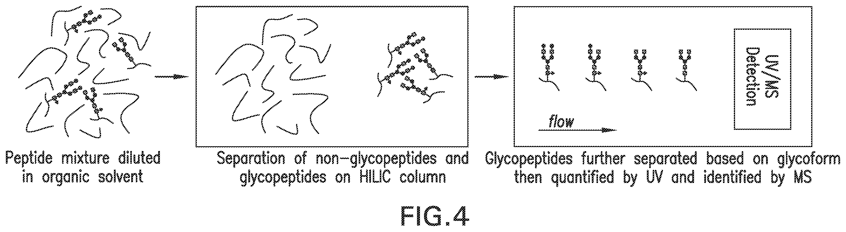 Patent US12157756 Figure 4 – Detection and quantification of glycosylated peptides