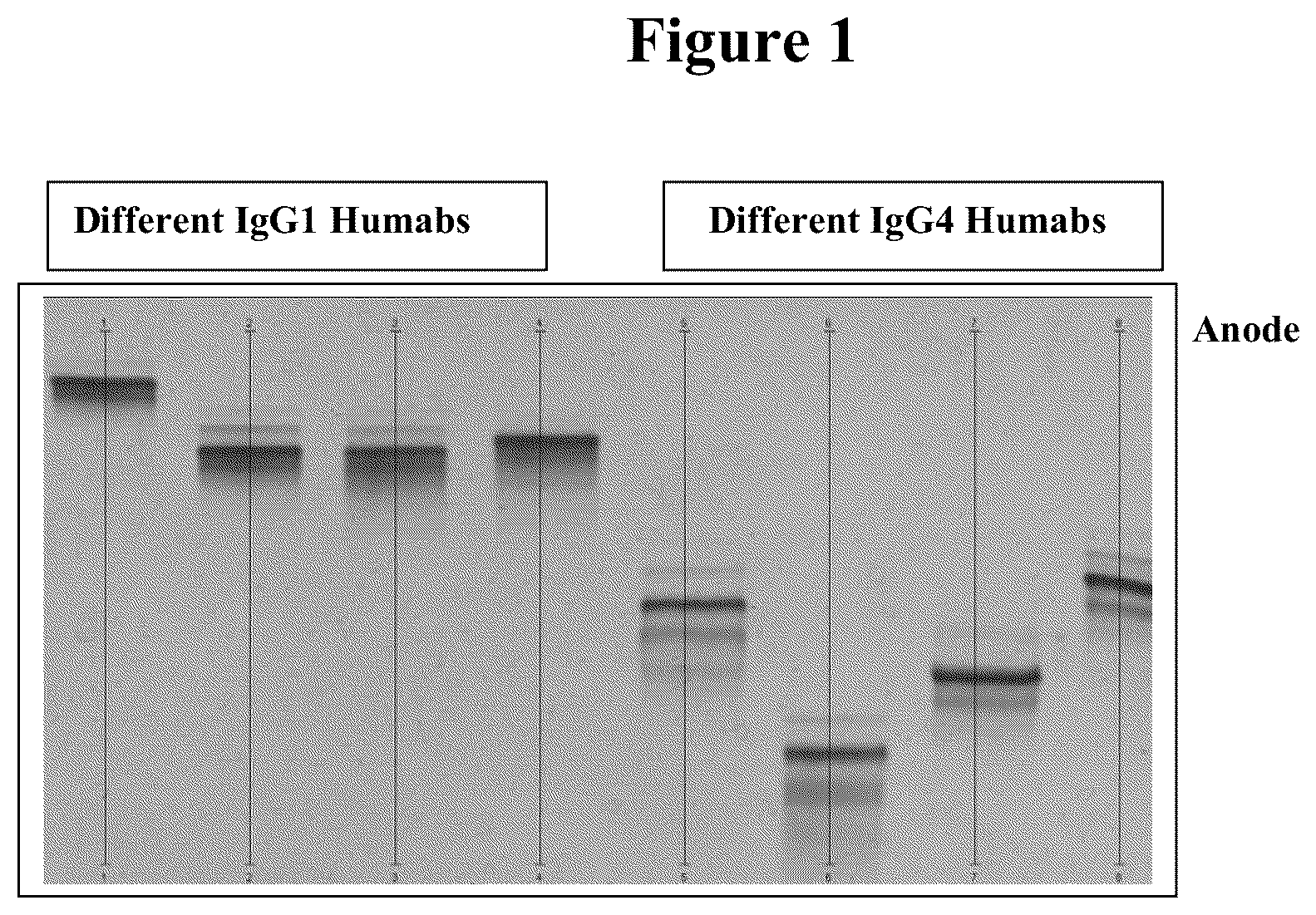 Patent US12157757 Figure 1 – Cation exchange chromatography methods