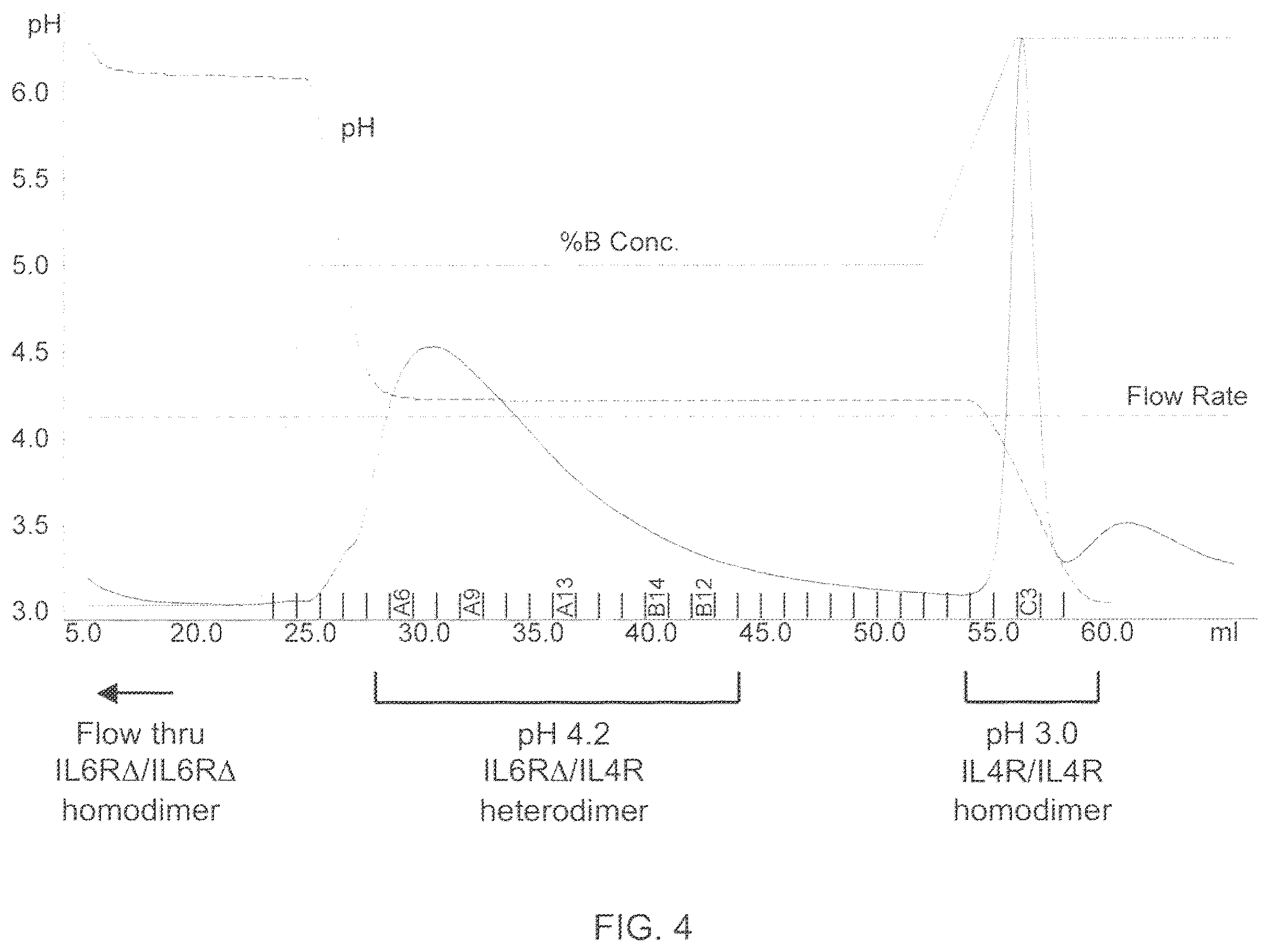 Patent US12157758 Figure 5 – Readily isolated bispecific antibodies with native immunoglobulin format