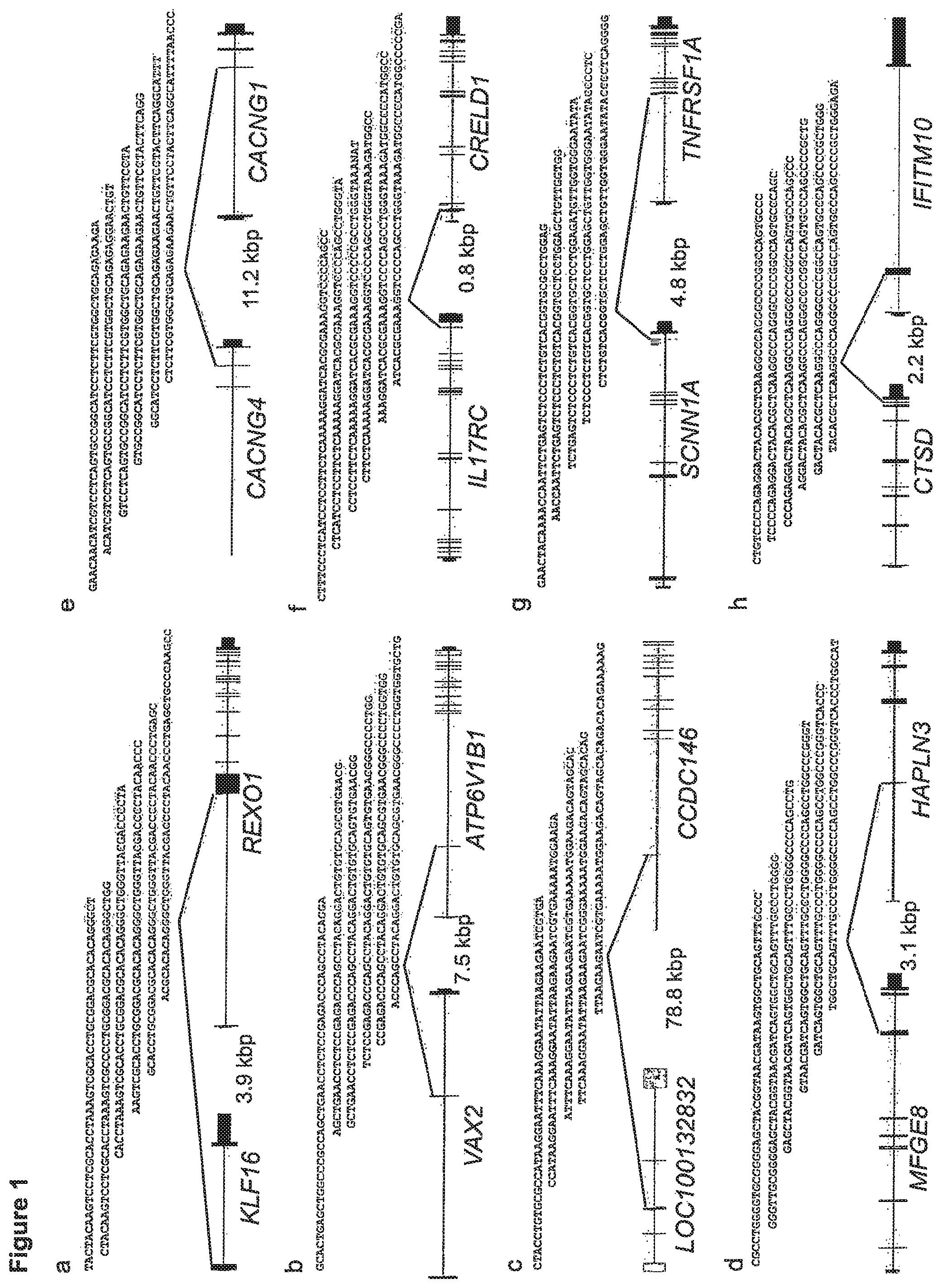 Patent US12157759 Figure 1 – Method of treating breast cancer