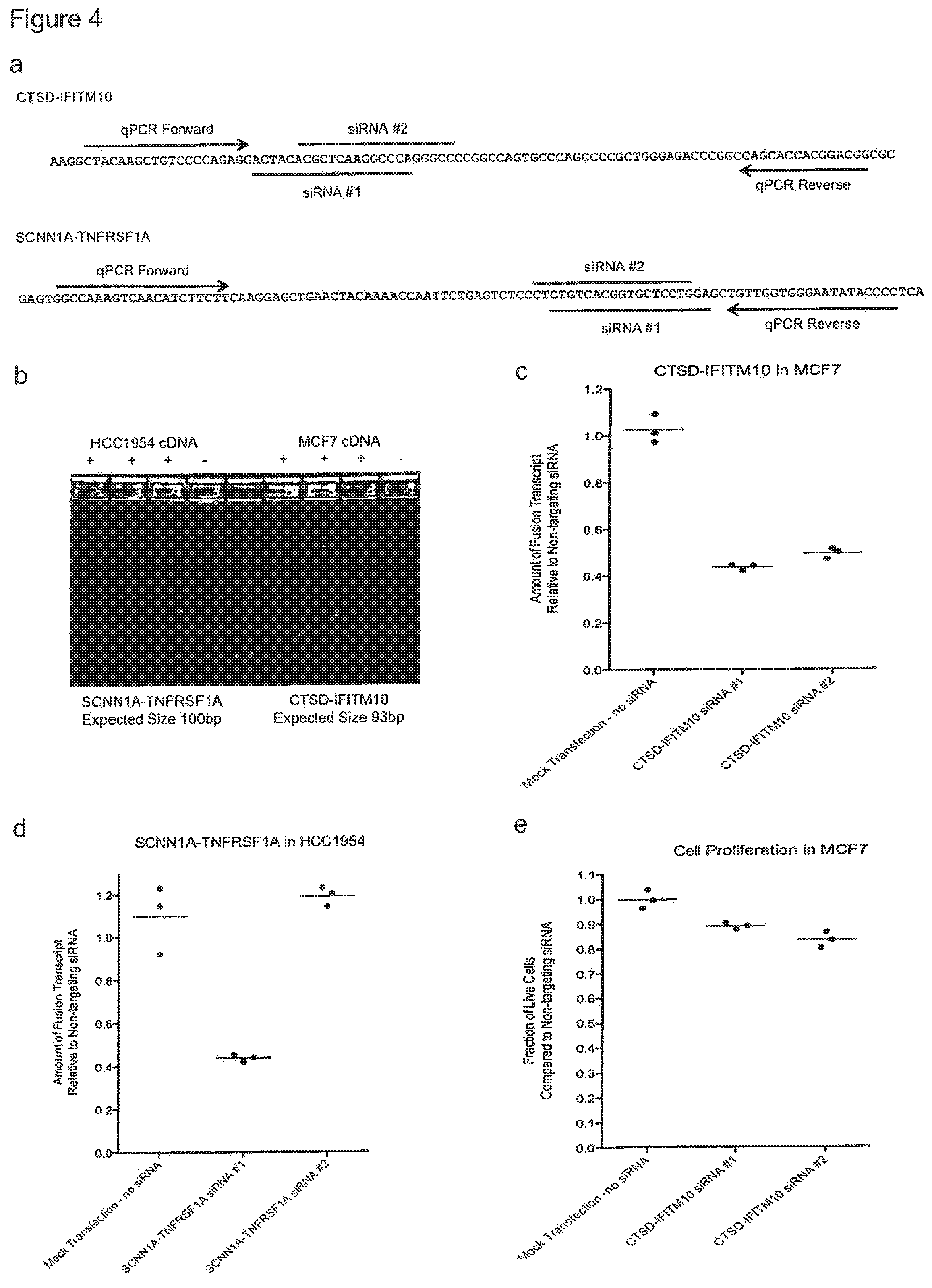 Patent US12157759 Figure 4 – Method of treating breast cancer