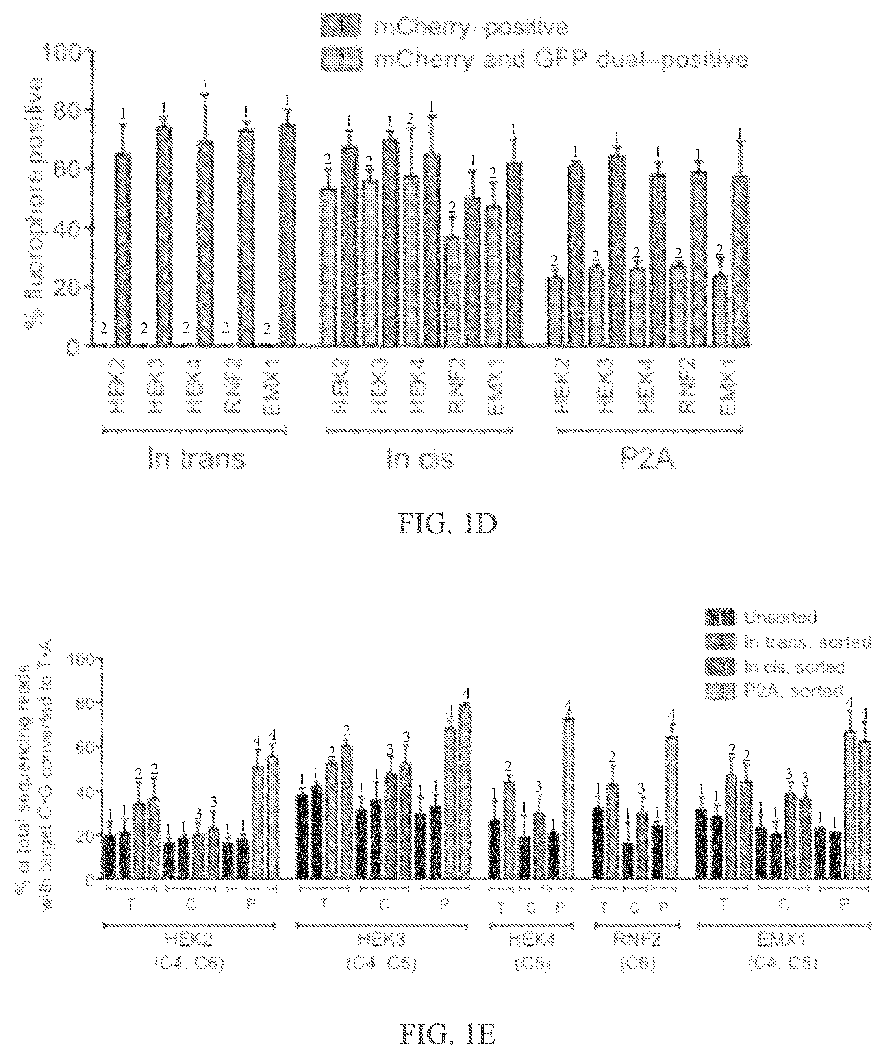 Patent US12157760 Figure 2 – Base editors and uses thereof