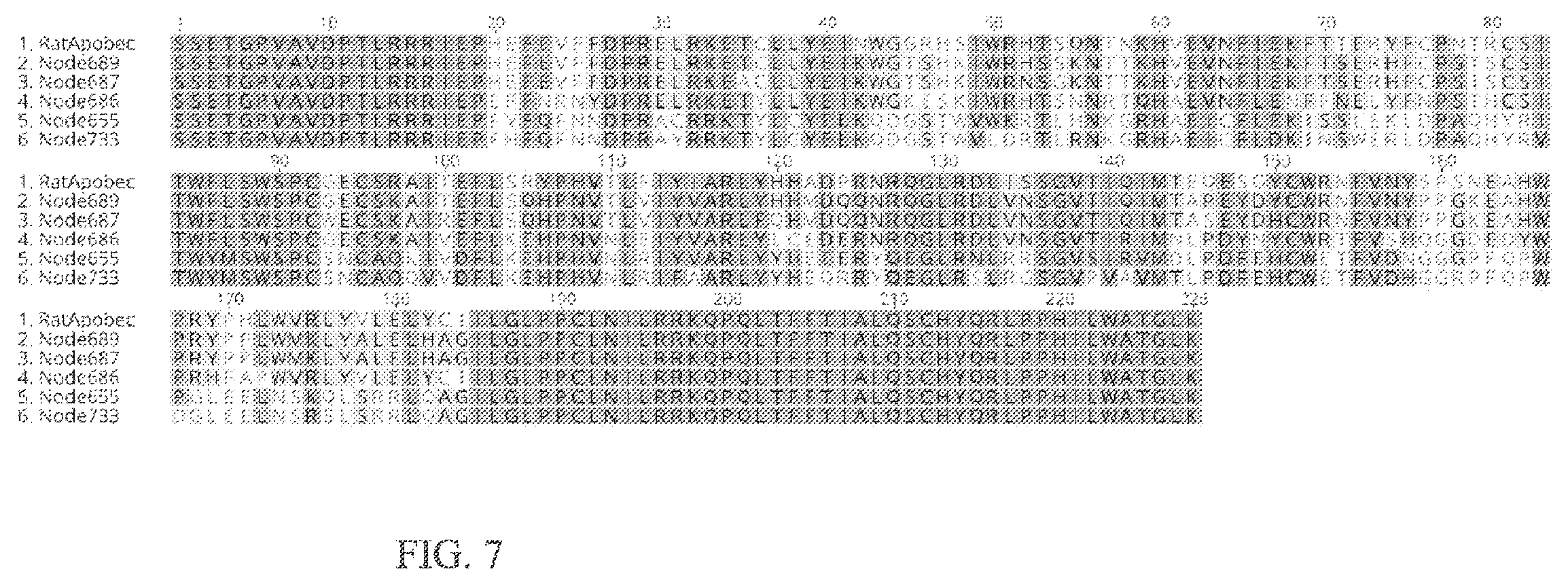Patent US12157760 Figure 13 – Base editors and uses thereof