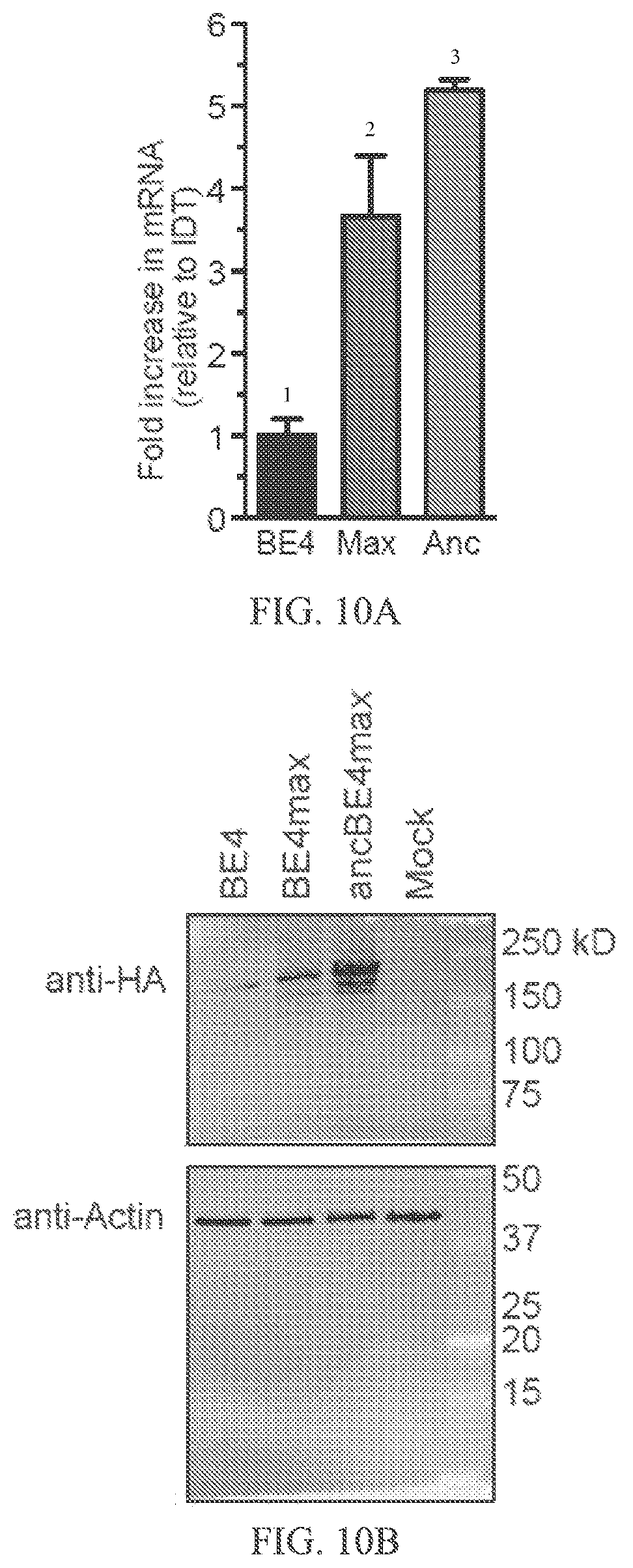 Patent US12157760 Figure 20 – Base editors and uses thereof