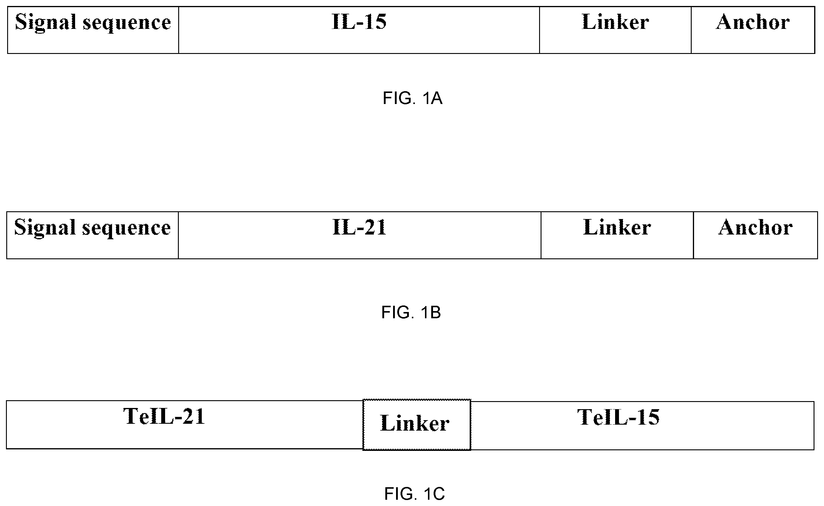 Patent US12157762 Figure 1 – Tethered interleukin-15 and interleukin-21
