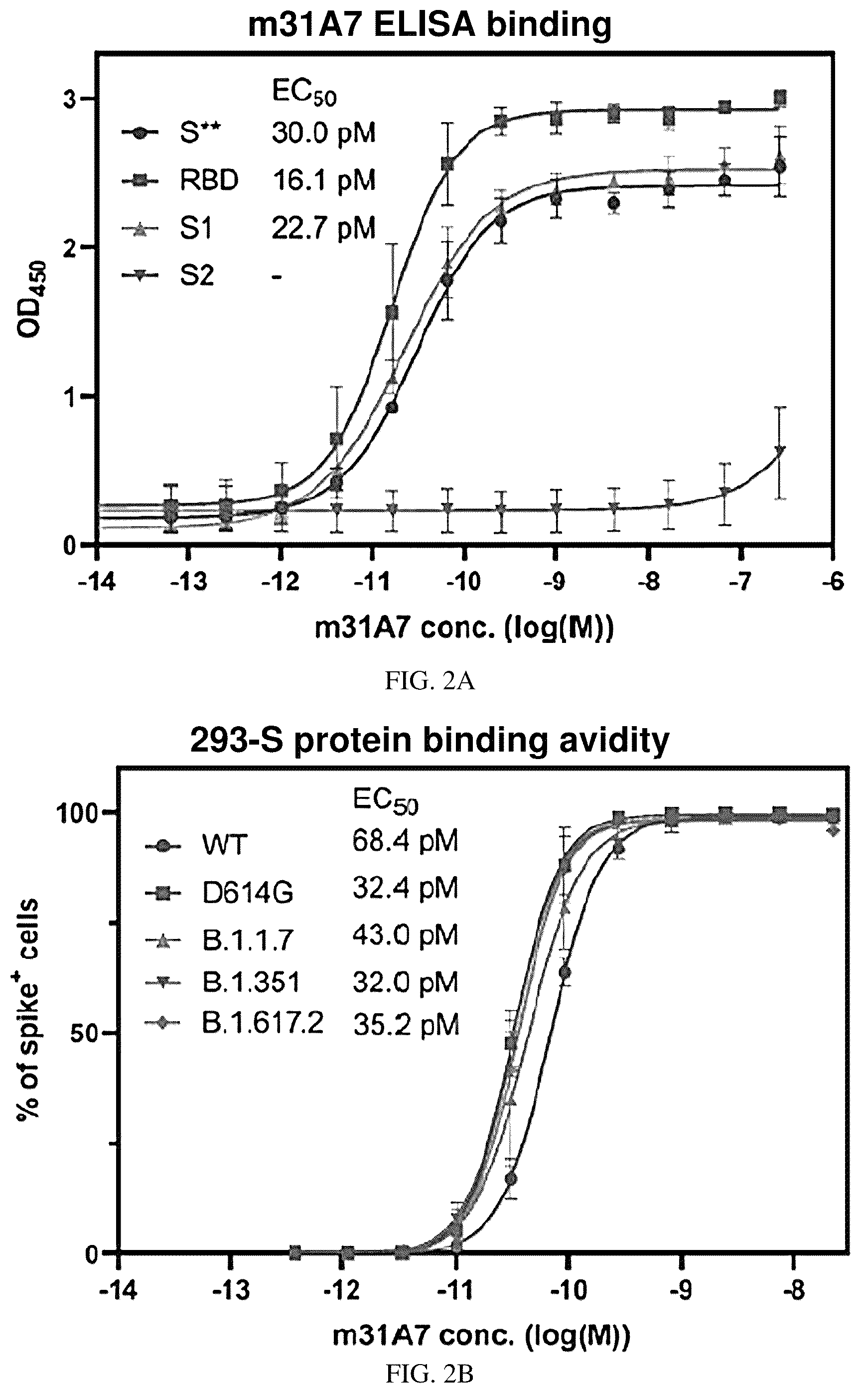 Patent US12157763 Figure 4 – Antibody specific to spike protein of SARS-CoV-2 and uses thereof
