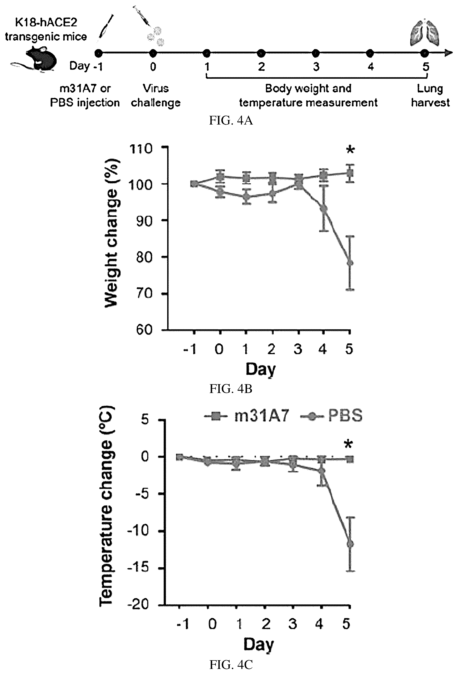 Patent US12157763 Figure 7 – Antibody specific to spike protein of SARS-CoV-2 and uses thereof