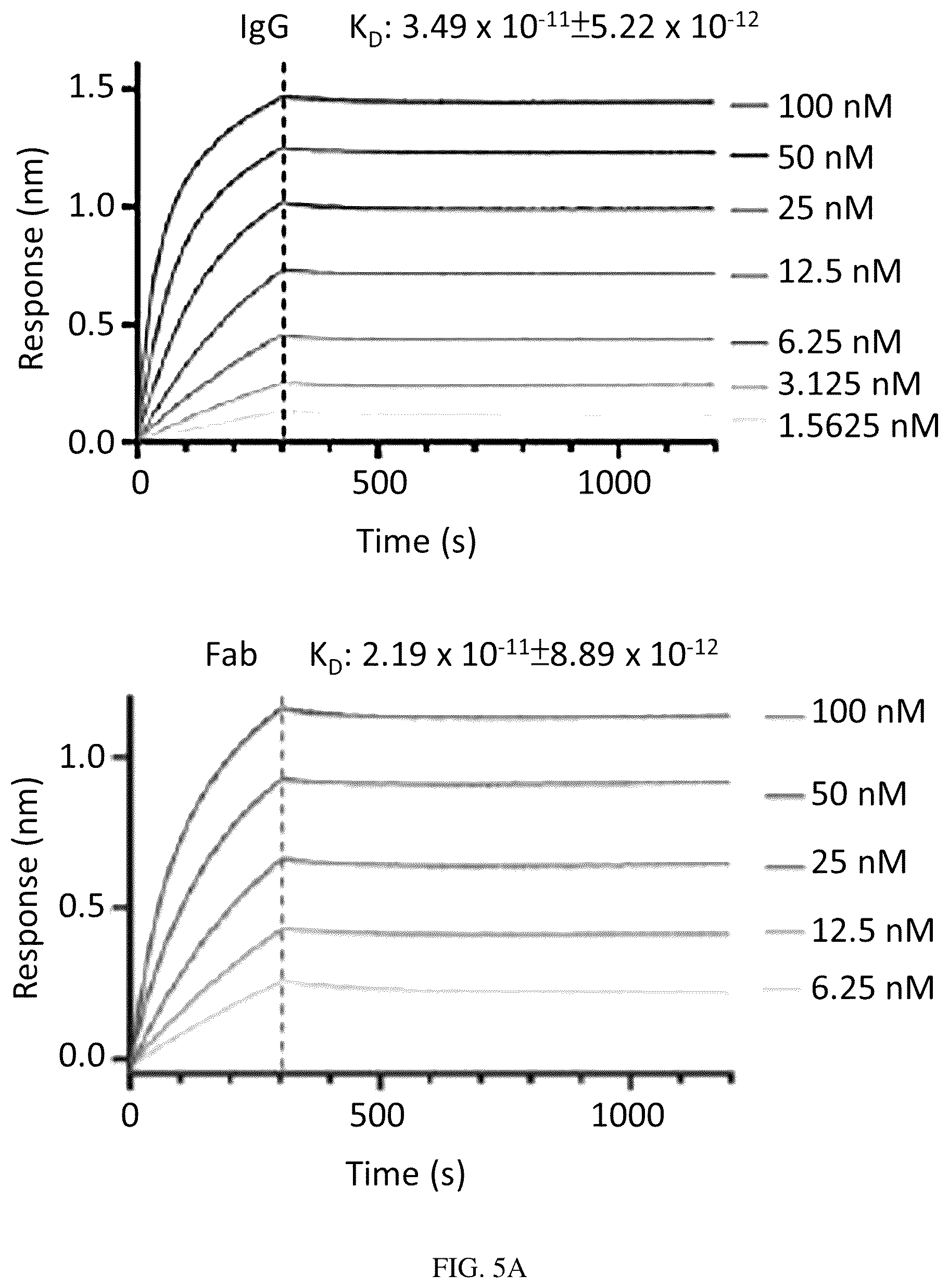 Patent US12157763 Figure 8 – Antibody specific to spike protein of SARS-CoV-2 and uses thereof