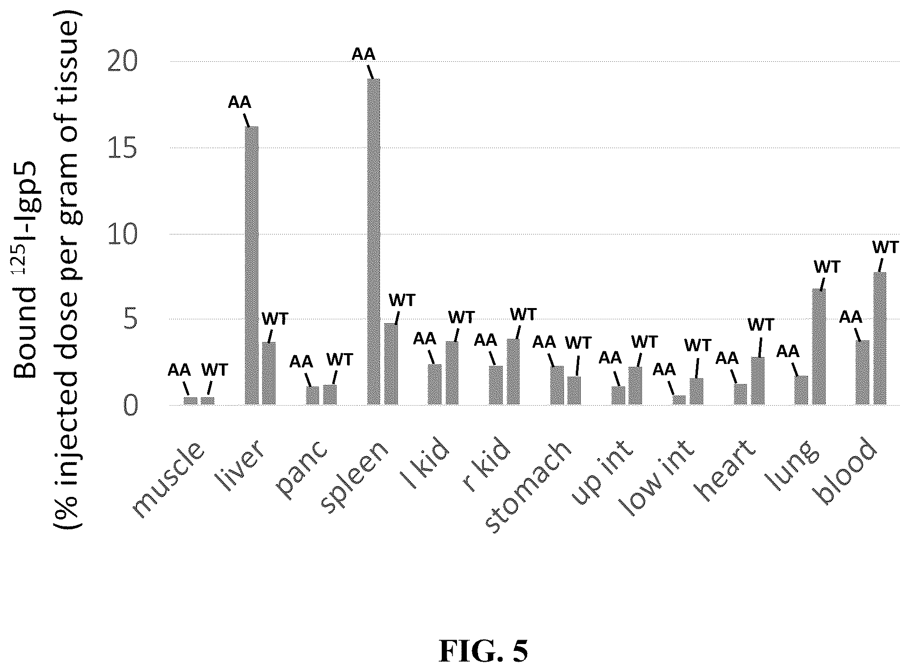 Patent US12157765 Figure 5 – Modified immunoglobulins for targeting amyloid deposits