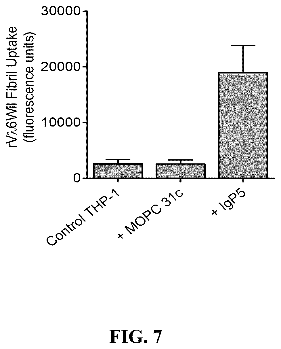 Patent US12157765 Figure 7 – Modified immunoglobulins for targeting amyloid deposits