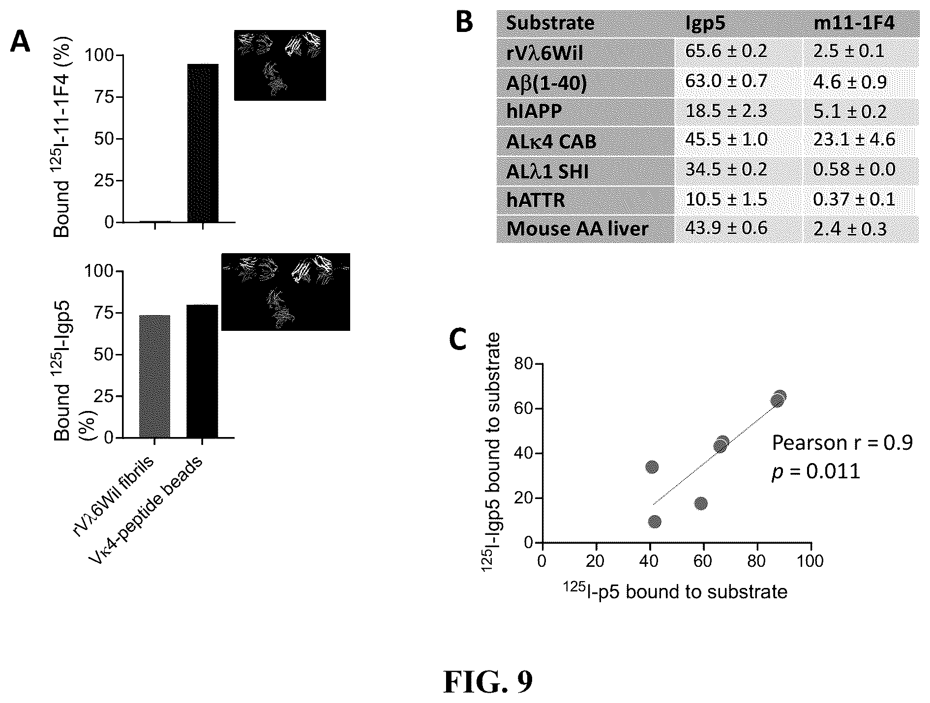 Patent US12157765 Figure 9 – Modified immunoglobulins for targeting amyloid deposits