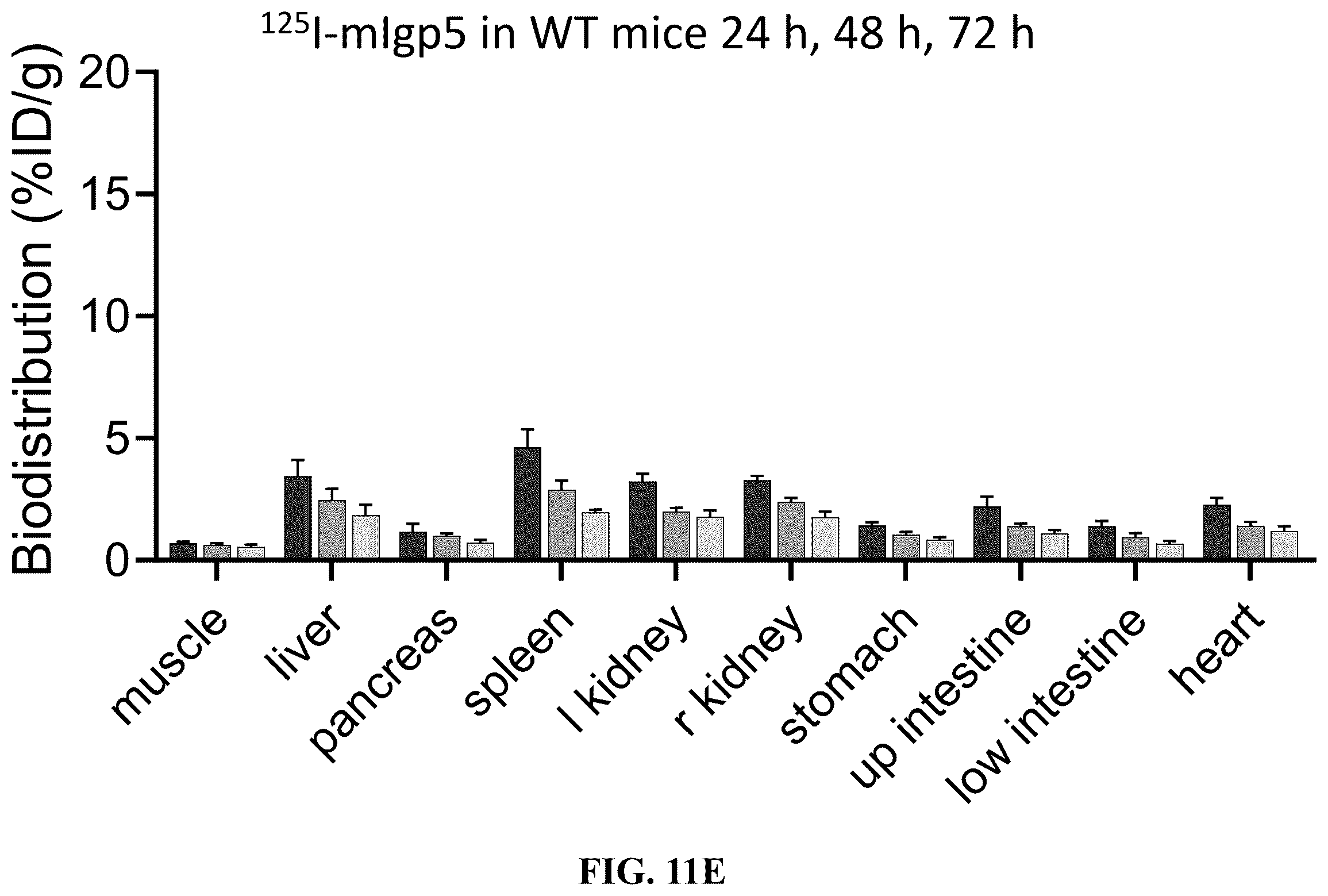 Patent US12157765 Figure 13 – Modified immunoglobulins for targeting amyloid deposits