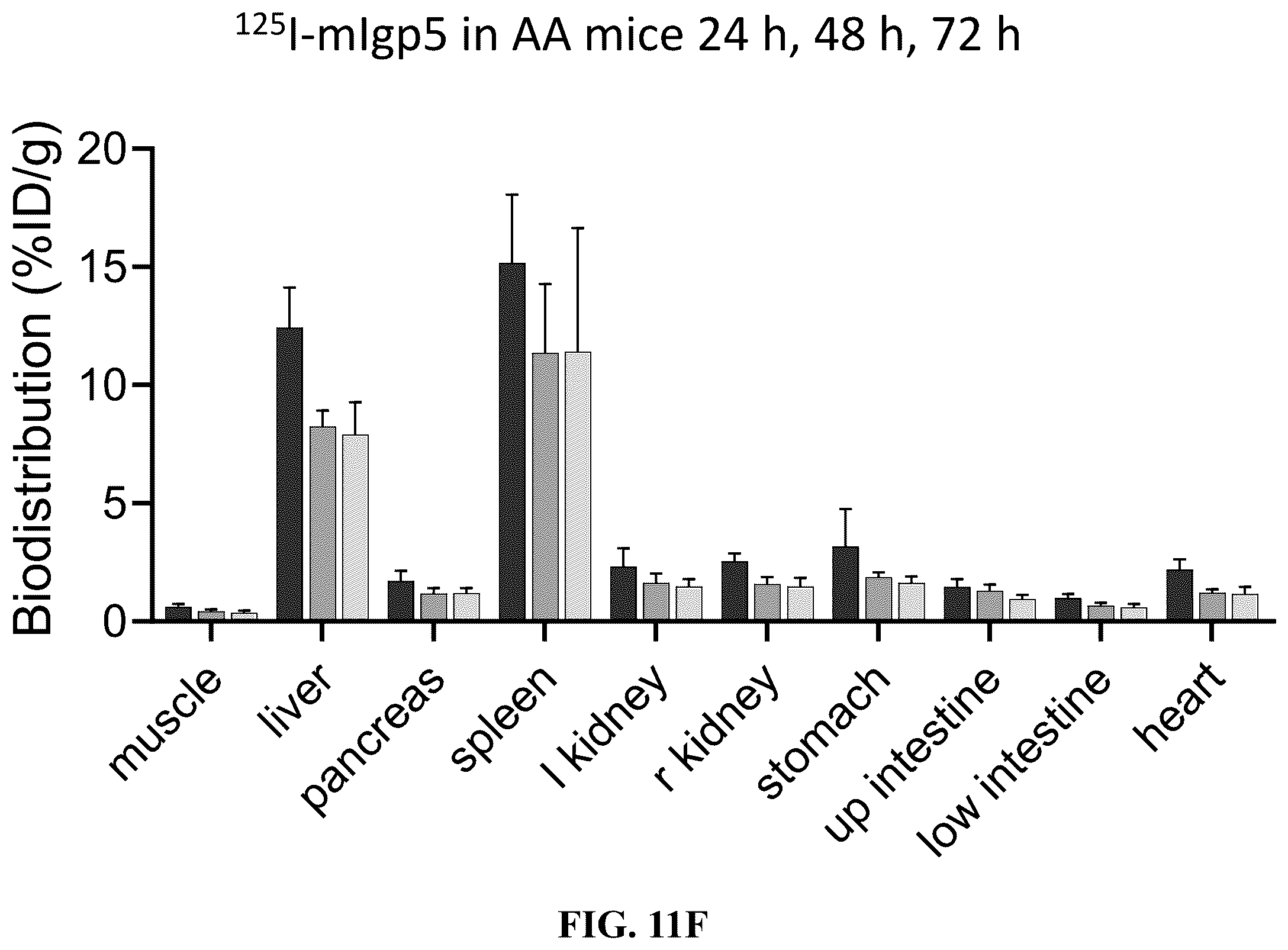Patent US12157765 Figure 14 – Modified immunoglobulins for targeting amyloid deposits