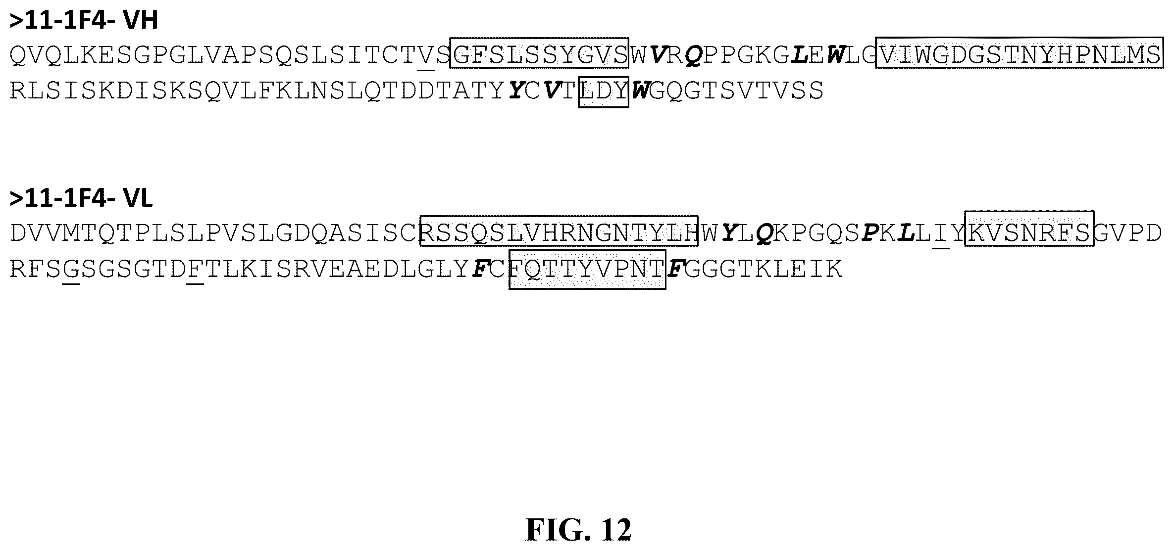 Patent US12157765 Figure 16 – Modified immunoglobulins for targeting amyloid deposits