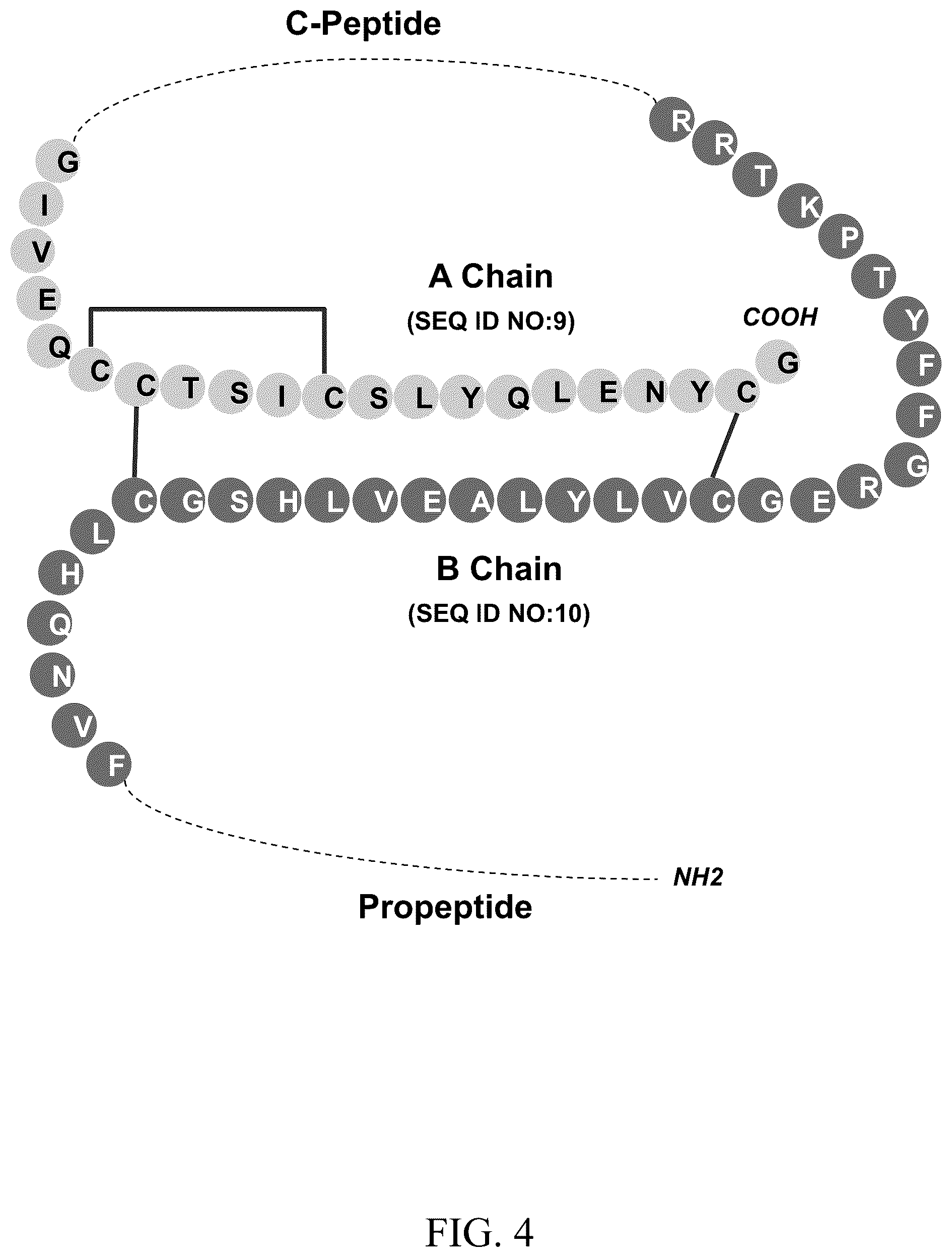 Patent US12157766 Figure 4 – Cytoplasmic expression system