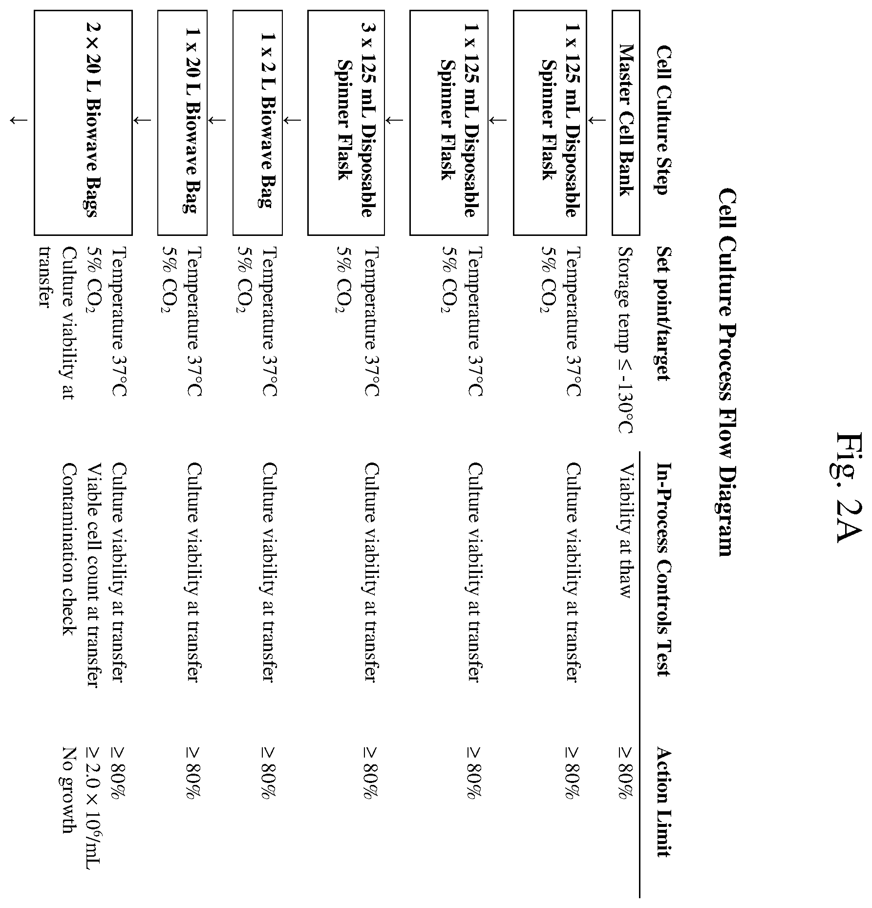 Patent US12157767 Figure 2 – Isolation and purification of anti-IL-13 antibodies using protein a affinity chromatography