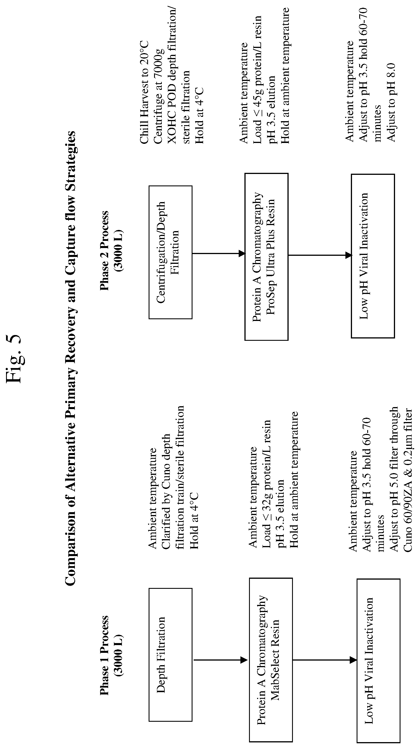 Patent US12157767 Figure 6 – Isolation and purification of anti-IL-13 antibodies using protein a affinity chromatography