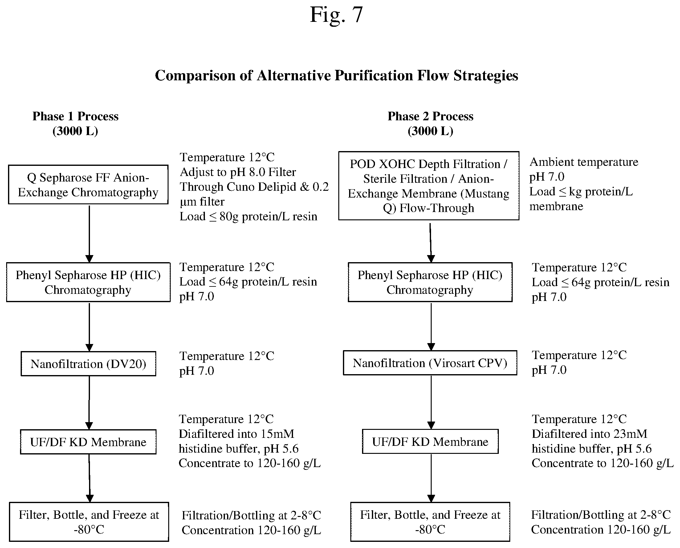 Patent US12157767 Figure 9 – Isolation and purification of anti-IL-13 antibodies using protein a affinity chromatography