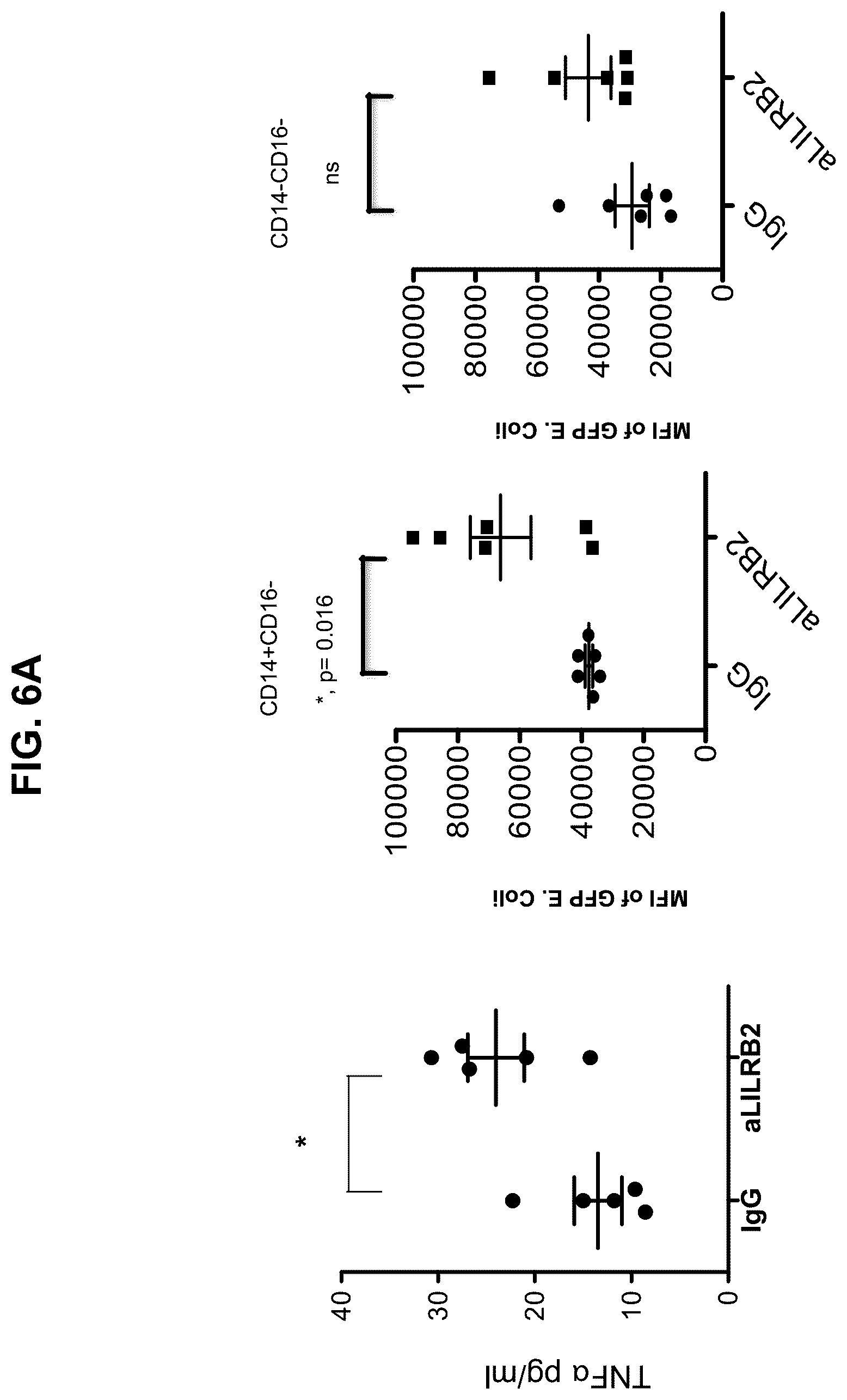 Patent US12157768 Figure 18 – Anti-LILRB2 antibodies and methods of use thereof