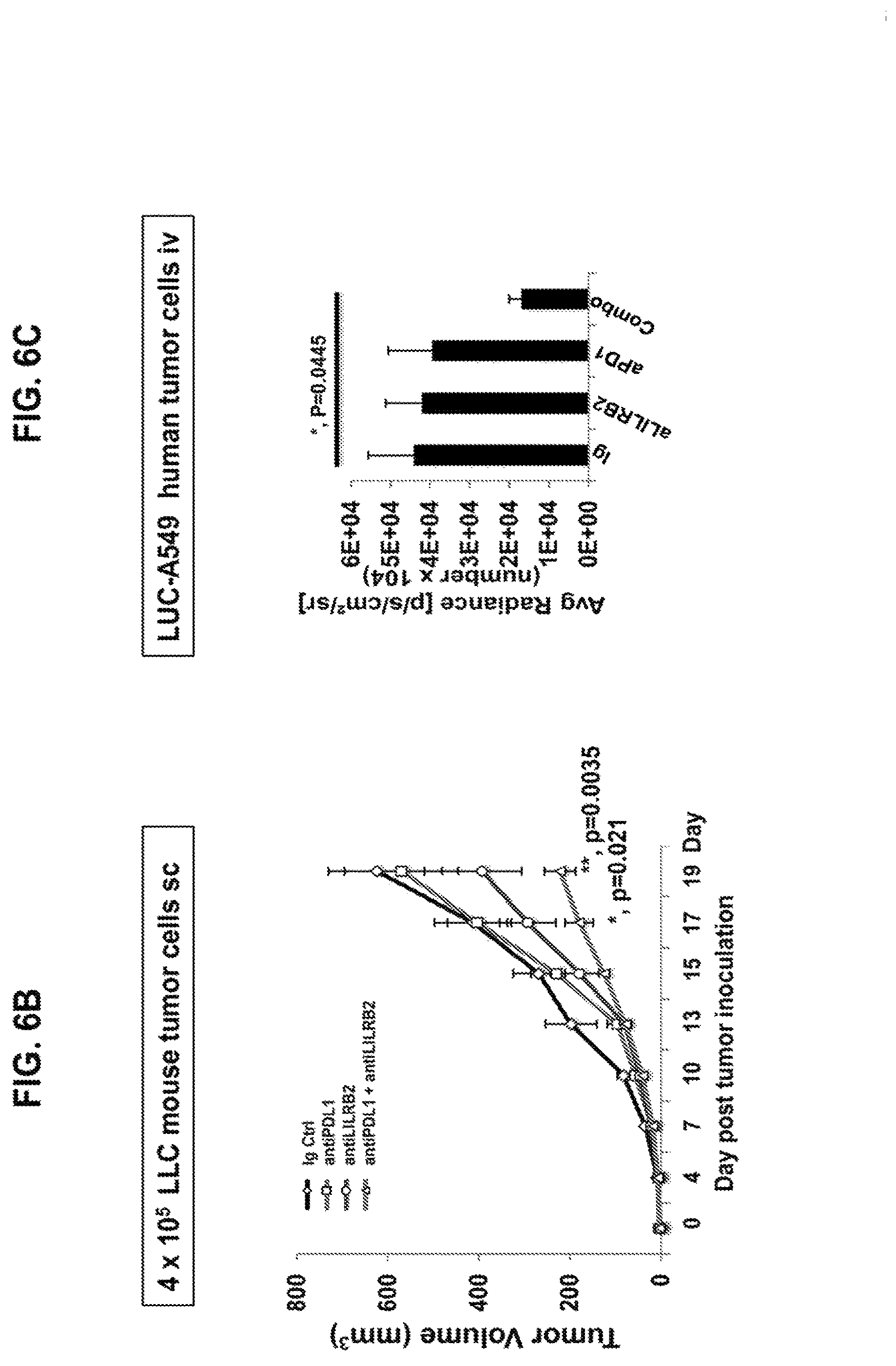 Patent US12157768 Figure 19 – Anti-LILRB2 antibodies and methods of use thereof