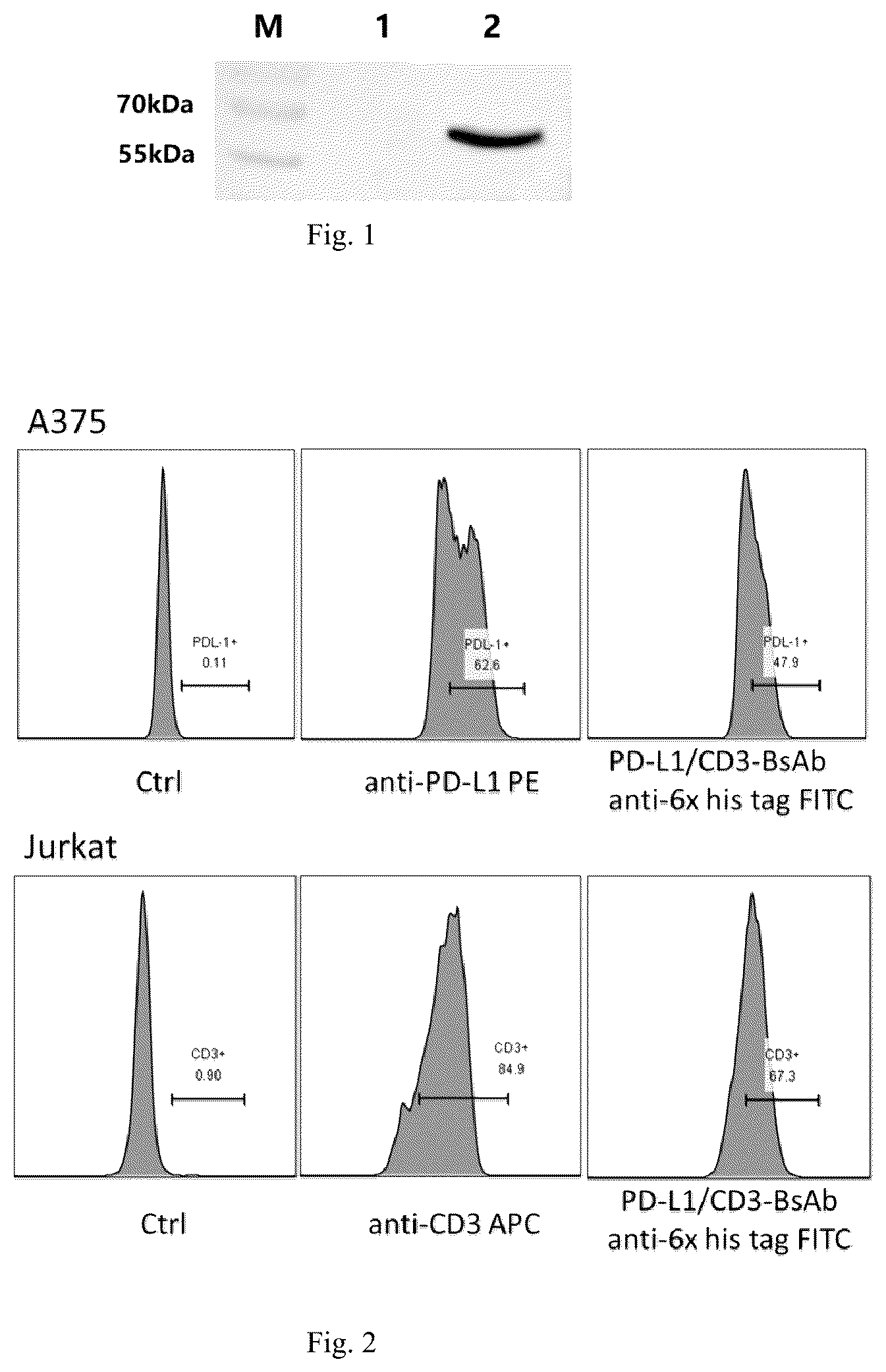 Patent US12157769 Figure 1 – Virus composition
