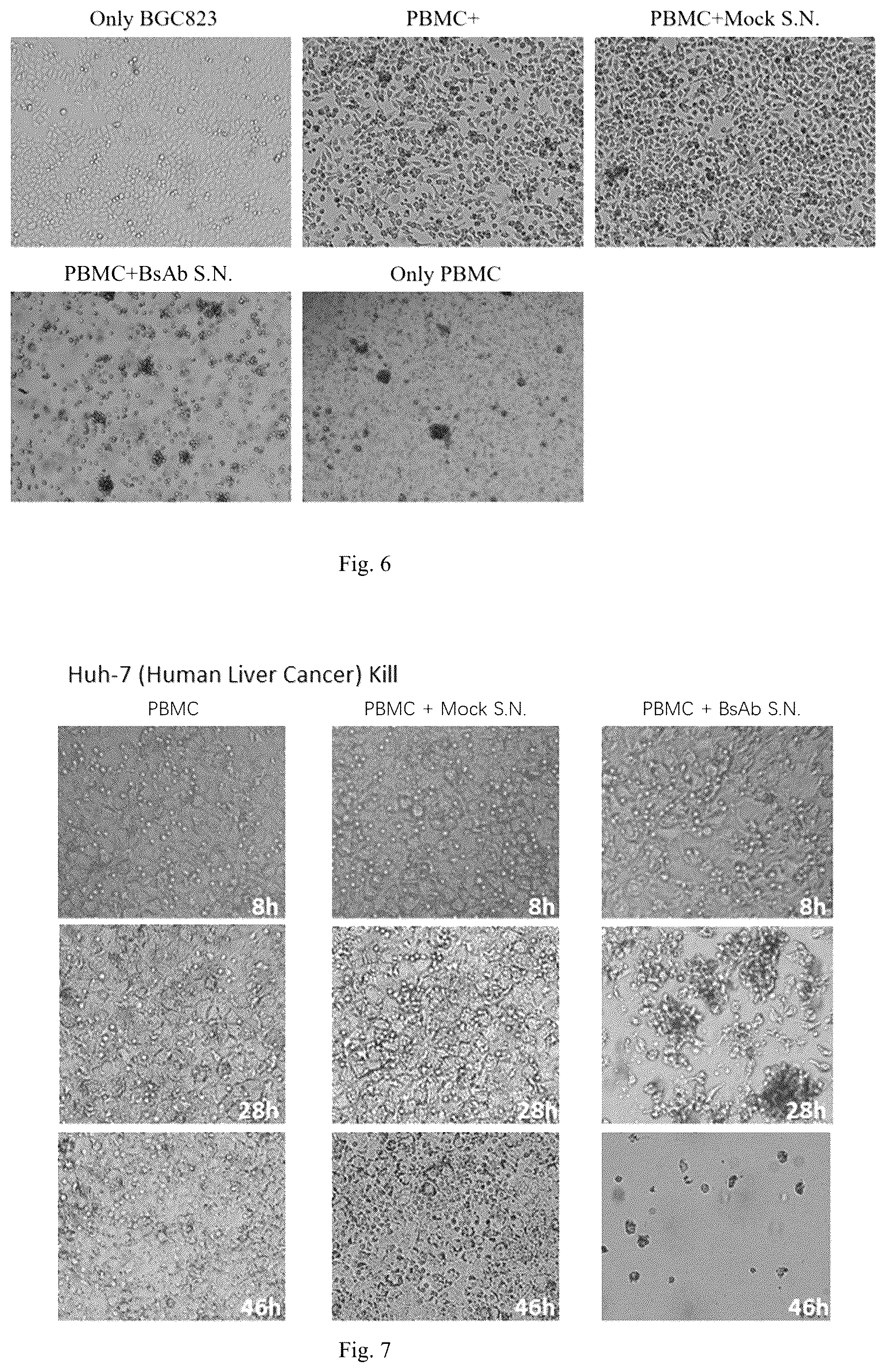 Patent US12157769 Figure 4 – Virus composition