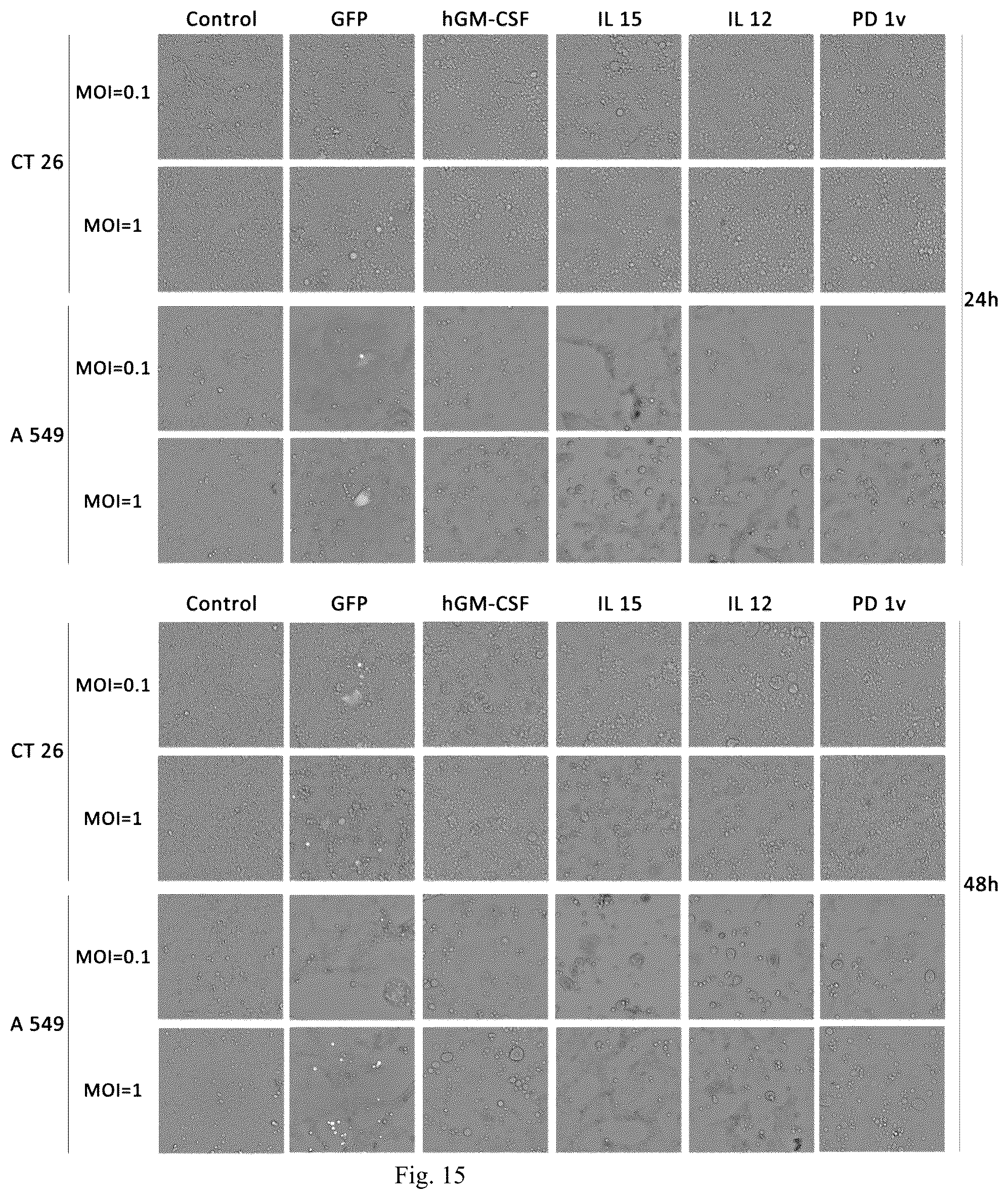 Patent US12157769 Figure 9 – Virus composition