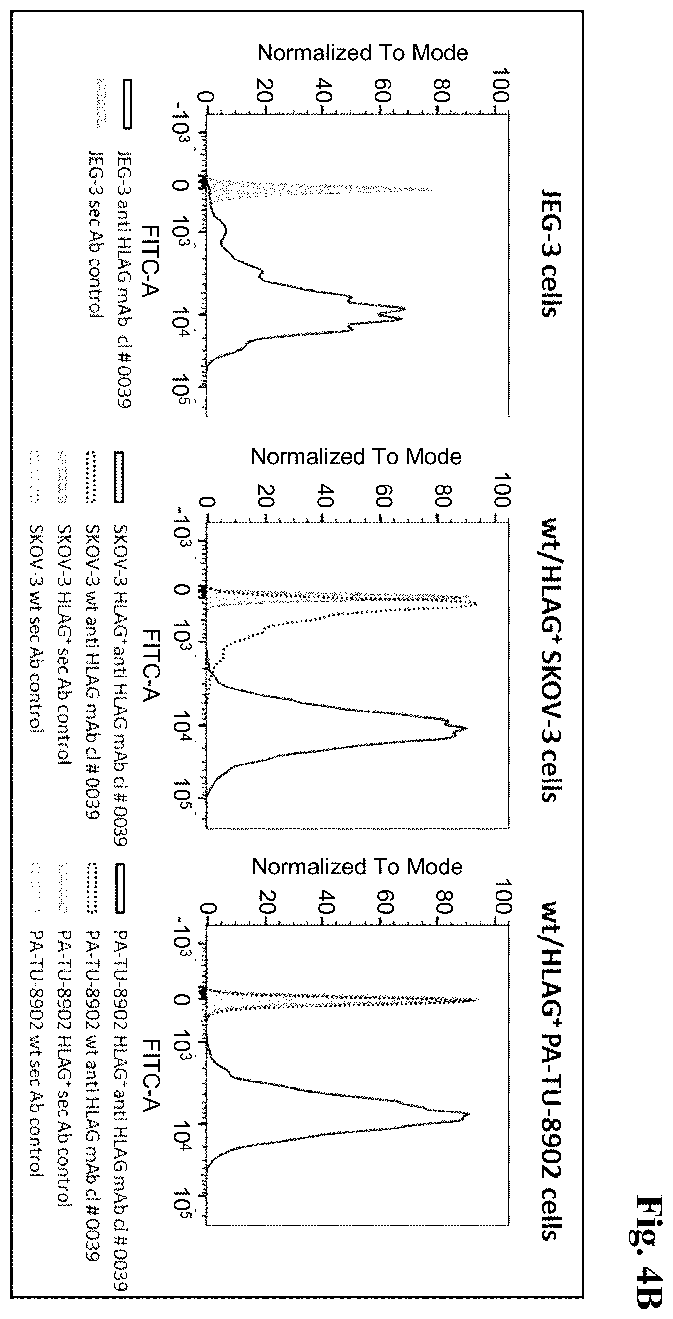 Patent US12157770 Figure 8 – Anti-HLA-G antibodies and methods of use thereof