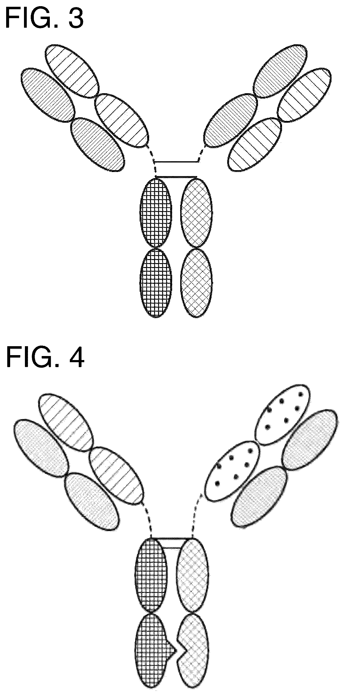 Patent US12157771 Figure 4 – Proteins binding NKG2D, CD16 and CLEC12A