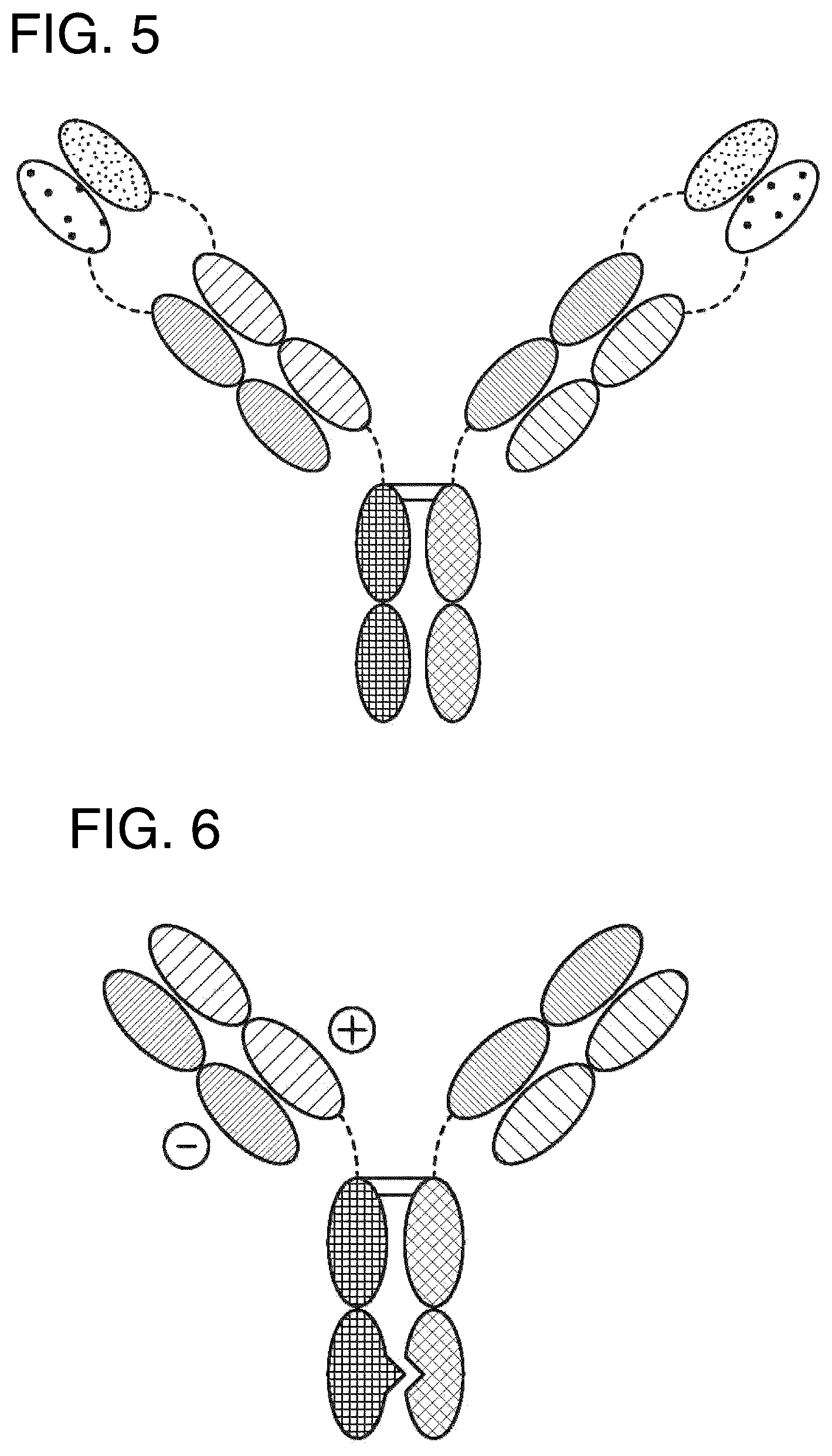 Patent US12157771 Figure 5 – Proteins binding NKG2D, CD16 and CLEC12A