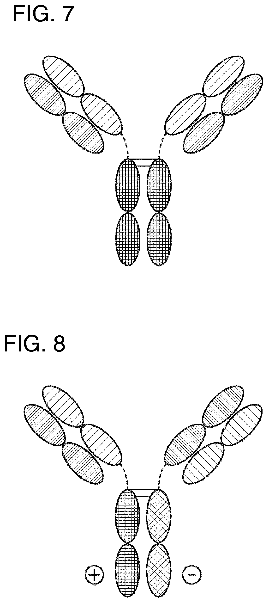 Patent US12157771 Figure 6 – Proteins binding NKG2D, CD16 and CLEC12A