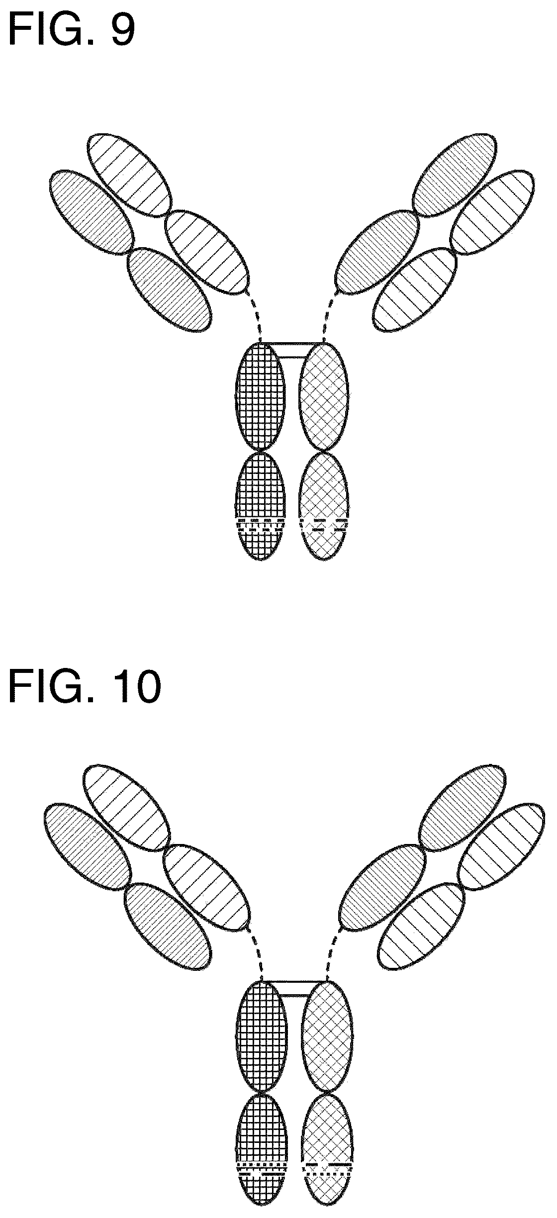 Patent US12157771 Figure 7 – Proteins binding NKG2D, CD16 and CLEC12A