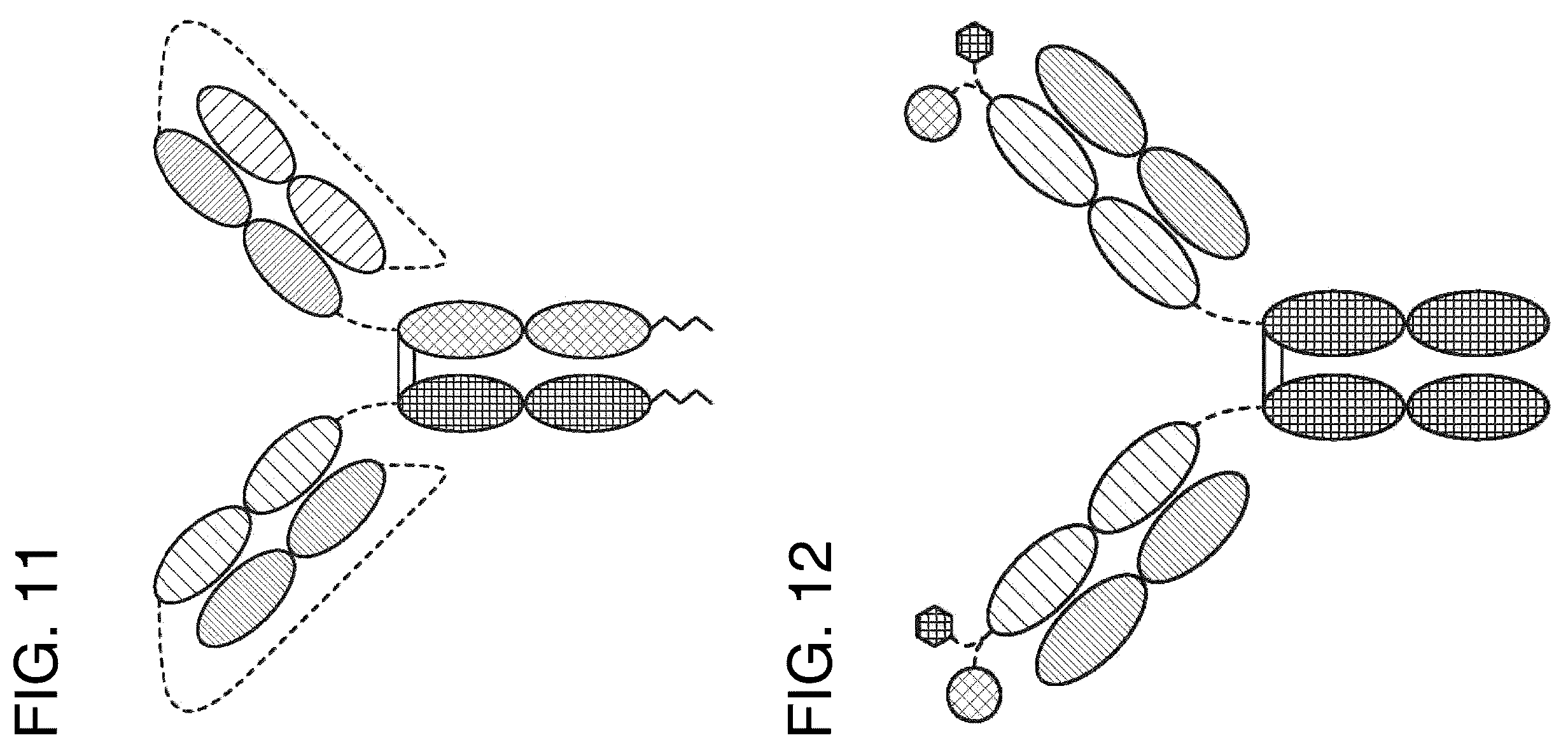 Patent US12157771 Figure 8 – Proteins binding NKG2D, CD16 and CLEC12A