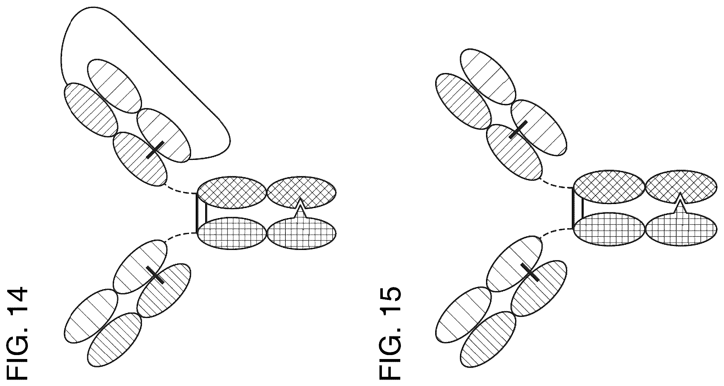 Patent US12157771 Figure 10 – Proteins binding NKG2D, CD16 and CLEC12A