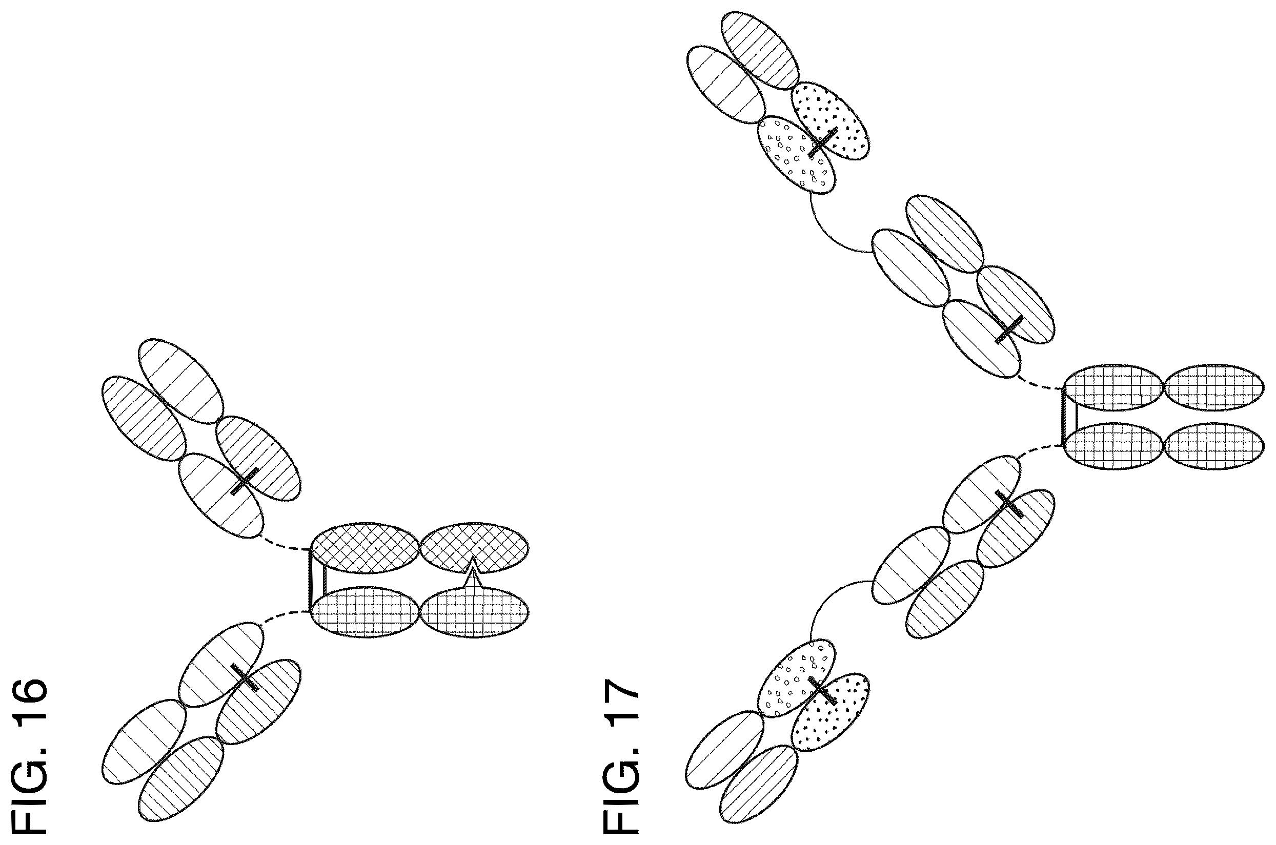 Patent US12157771 Figure 11 – Proteins binding NKG2D, CD16 and CLEC12A